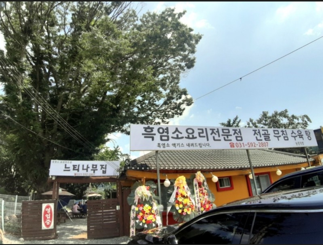 느티나무흑염소집