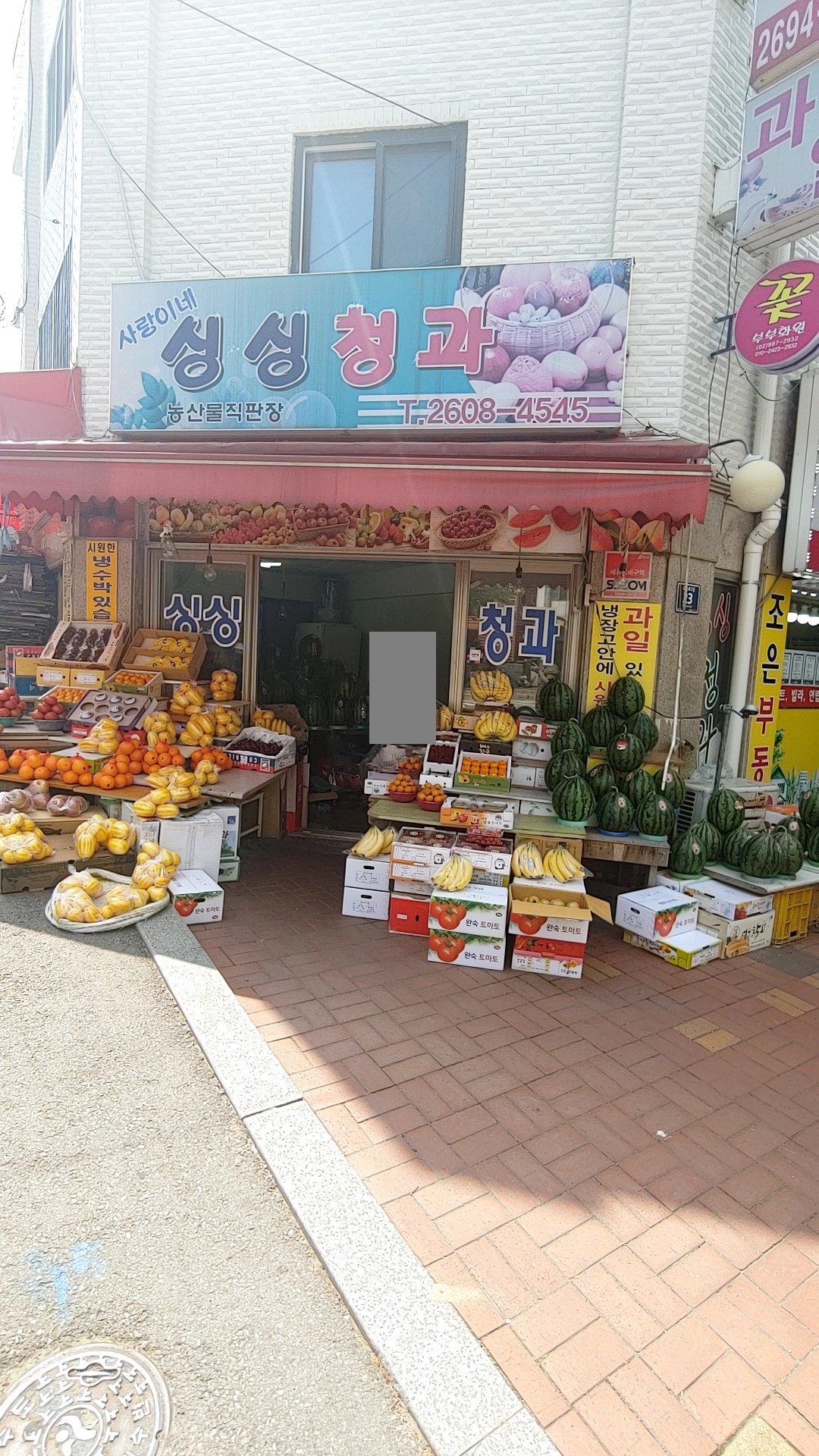 싱싱청과