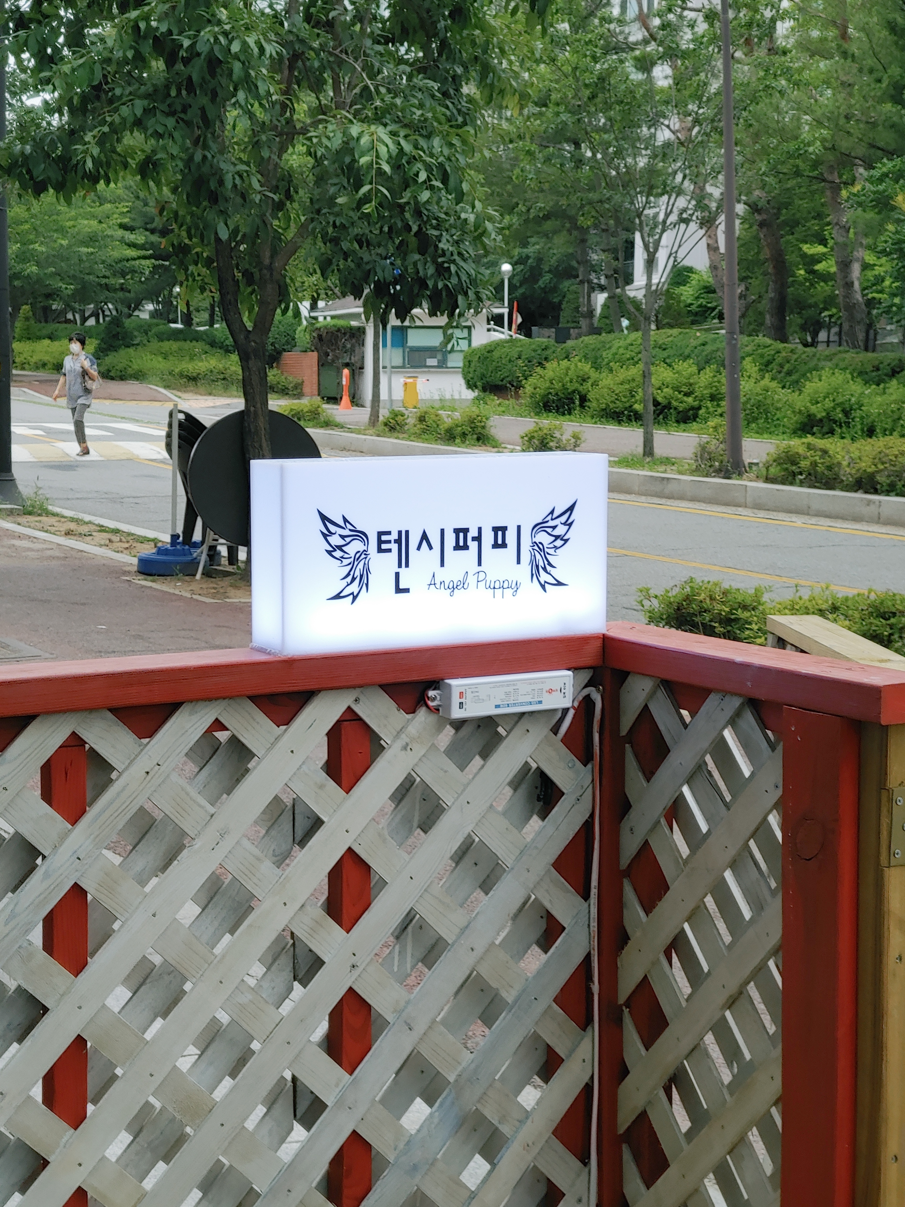 텐시퍼피 대표 이미지