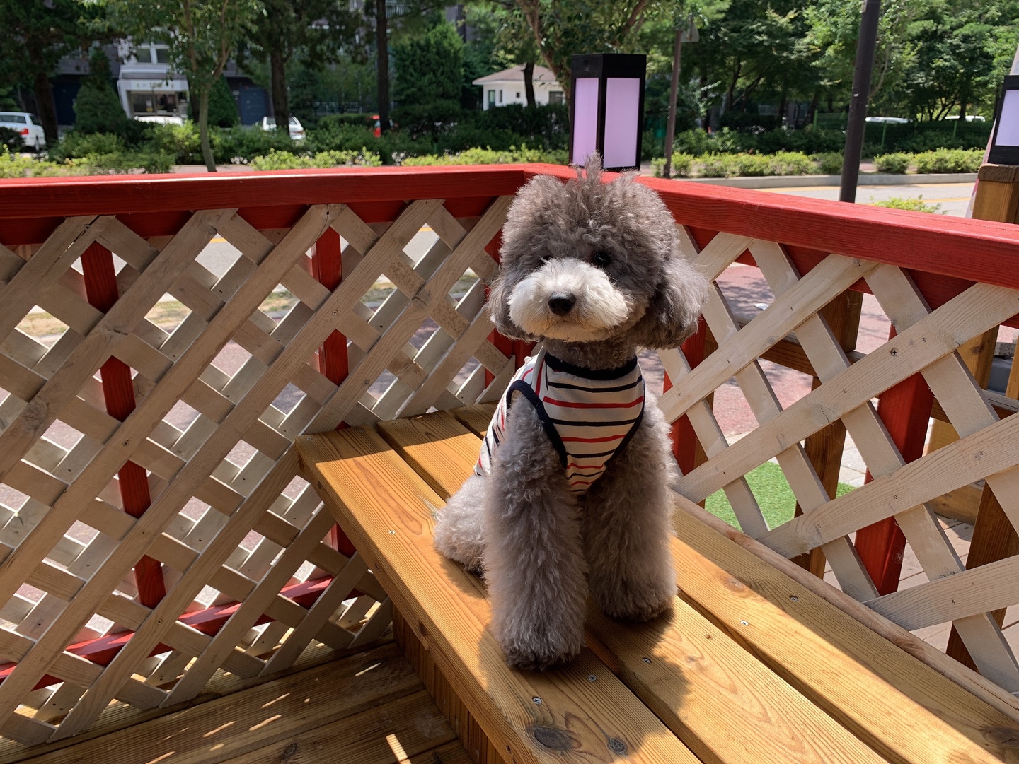 텐시퍼피 대표 이미지