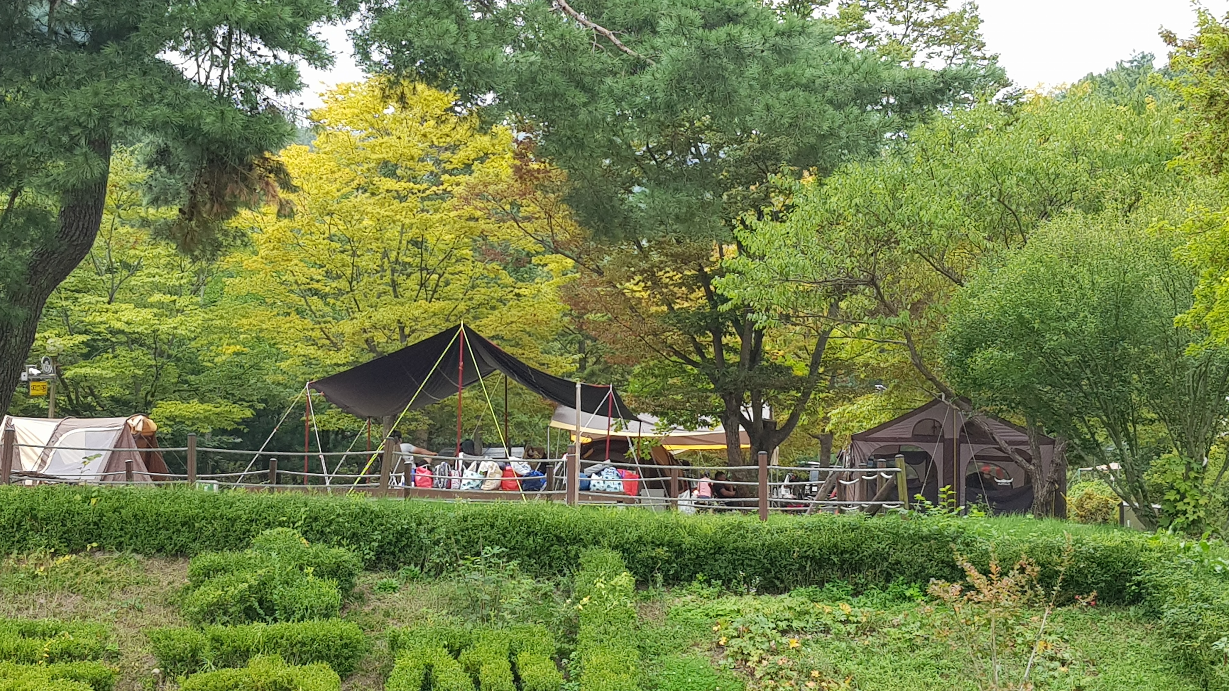 용문산야영장&글램핑캠핑장