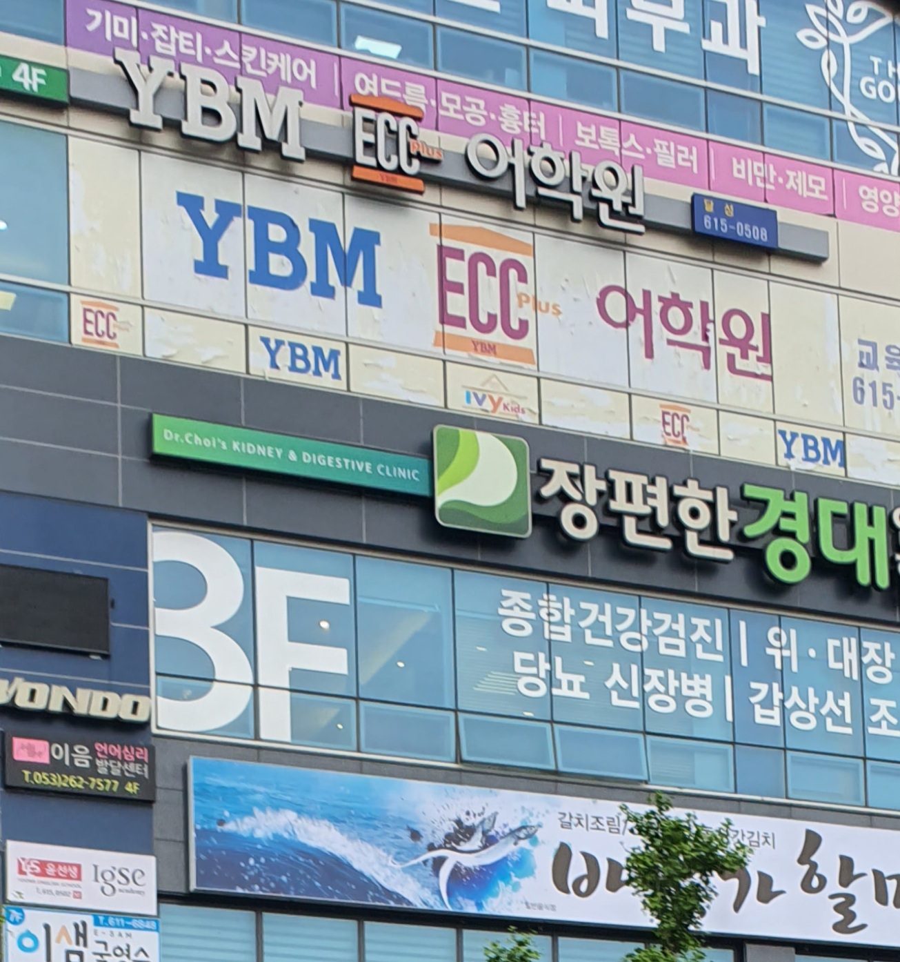 YBM ECC 달성어학원 대표 이미지