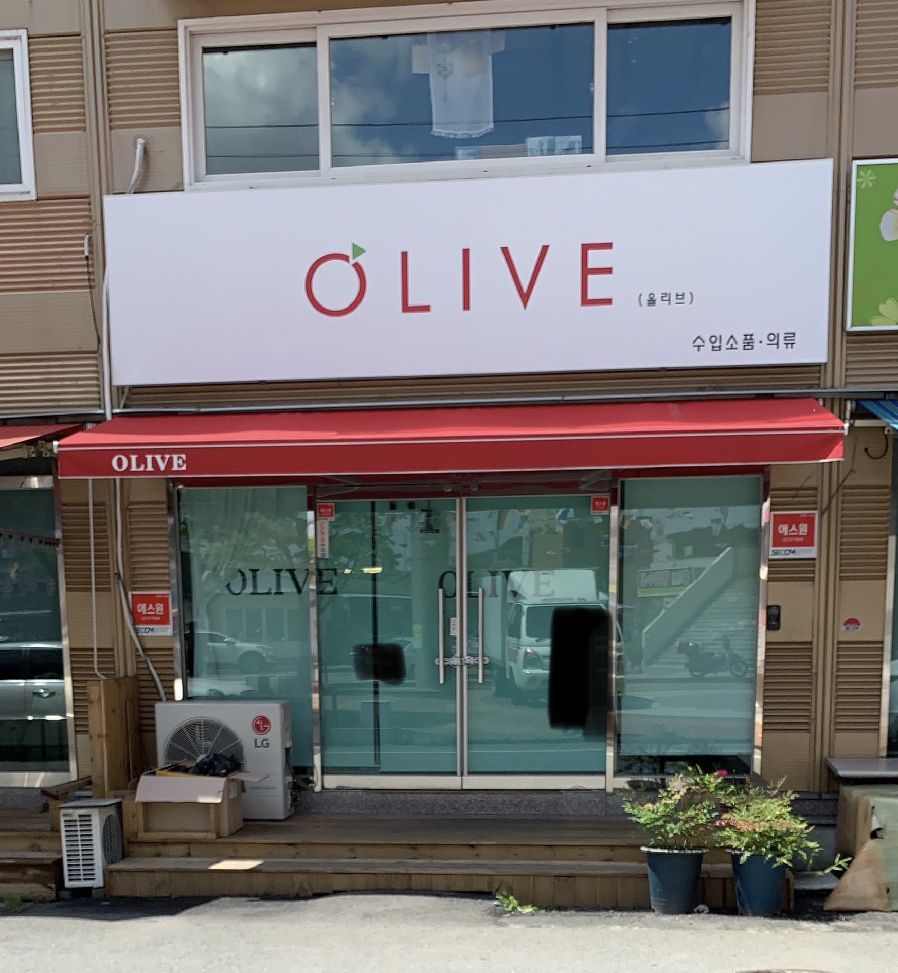 올리브