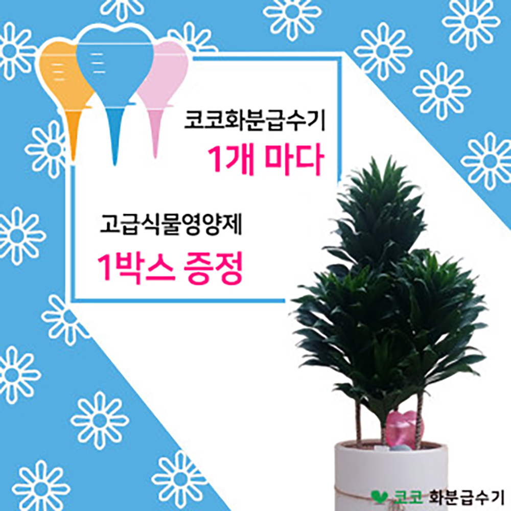 플라워