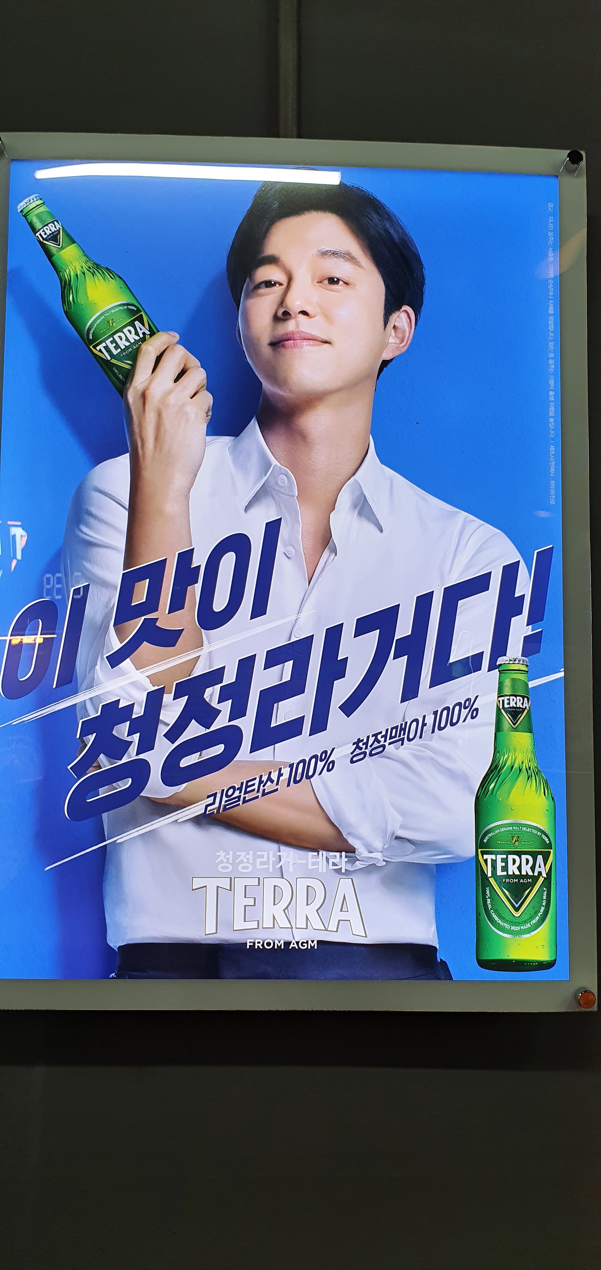 통영산곰장어