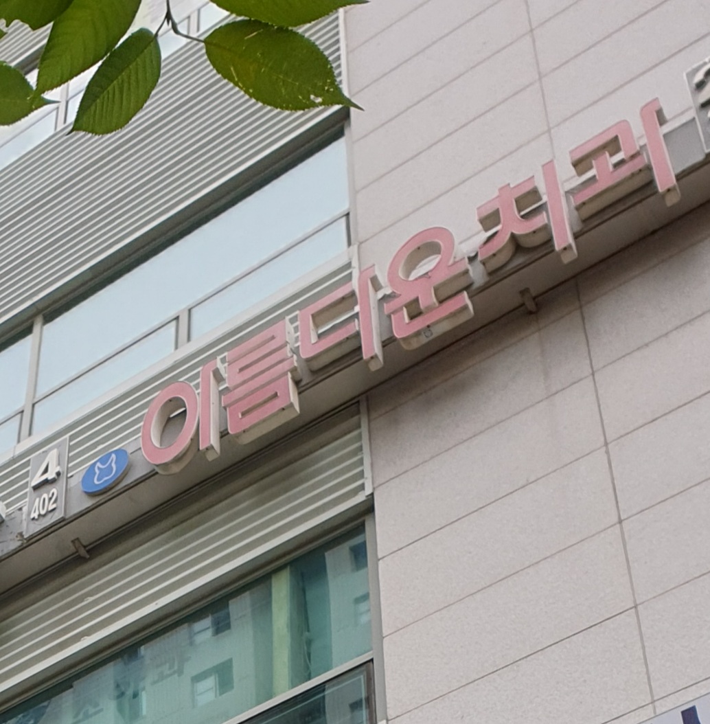 μλ¦λ€μ΄μΉκ³Όμμ λν μ΄λ―Έμ§