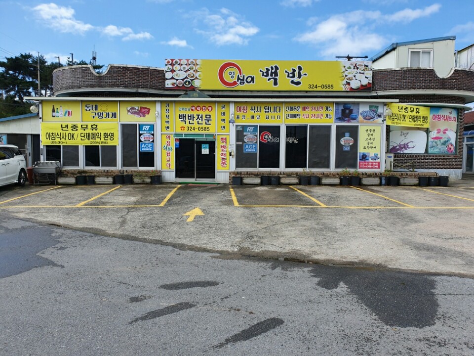 영심이백반