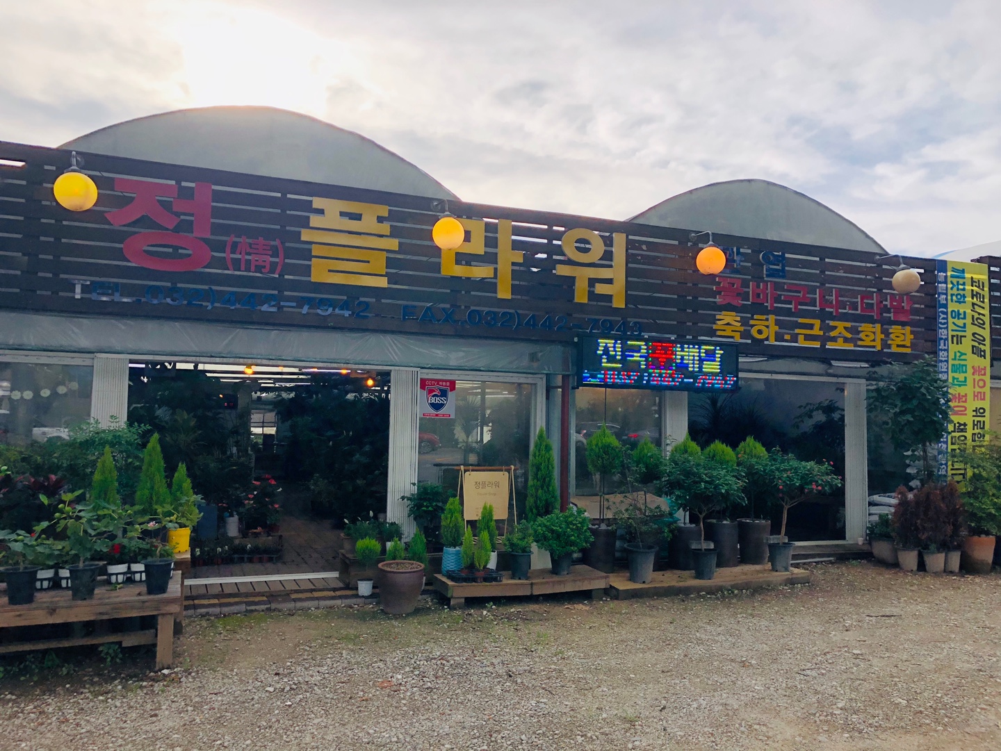 정플라워