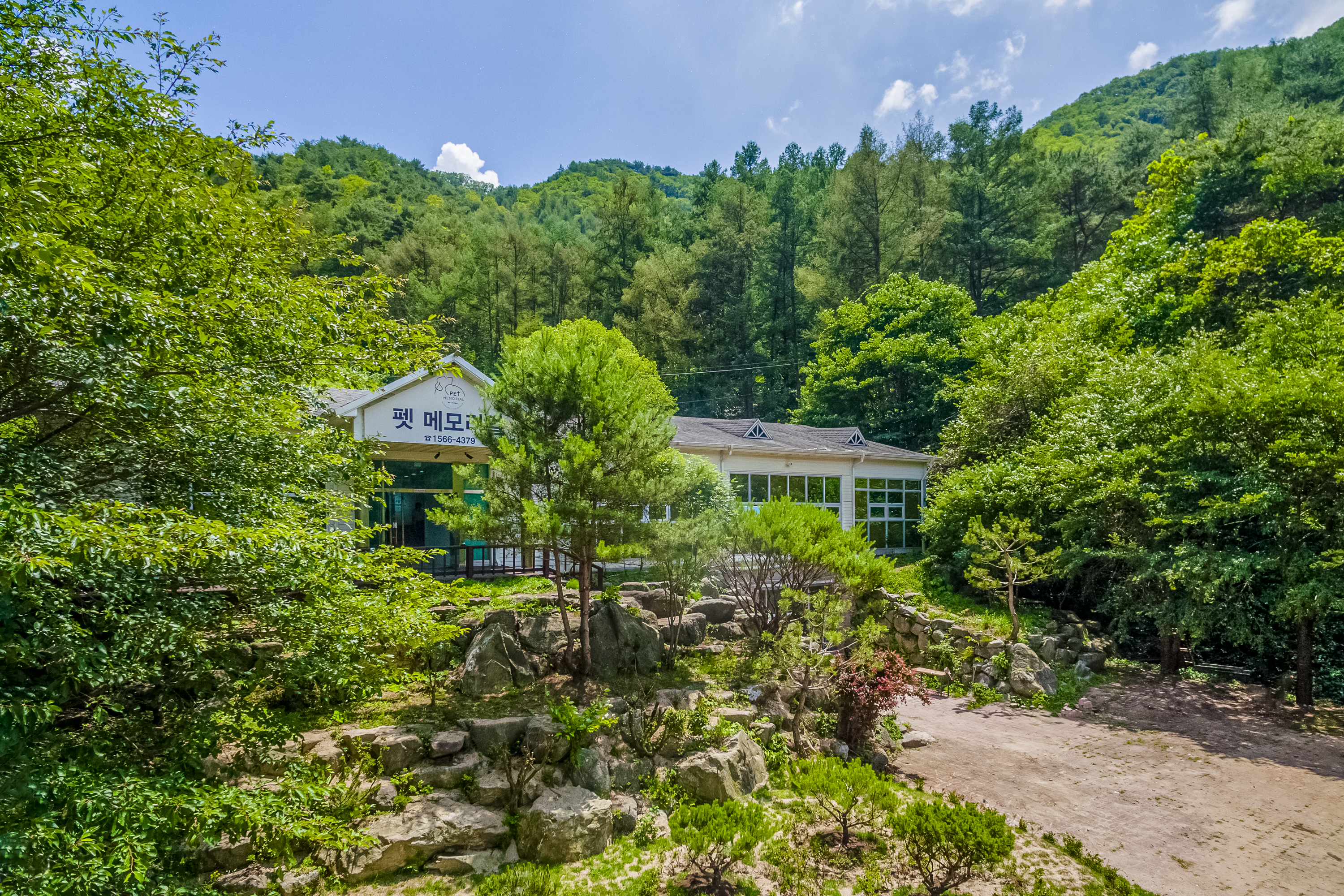 펫메모리얼 대표 이미지
