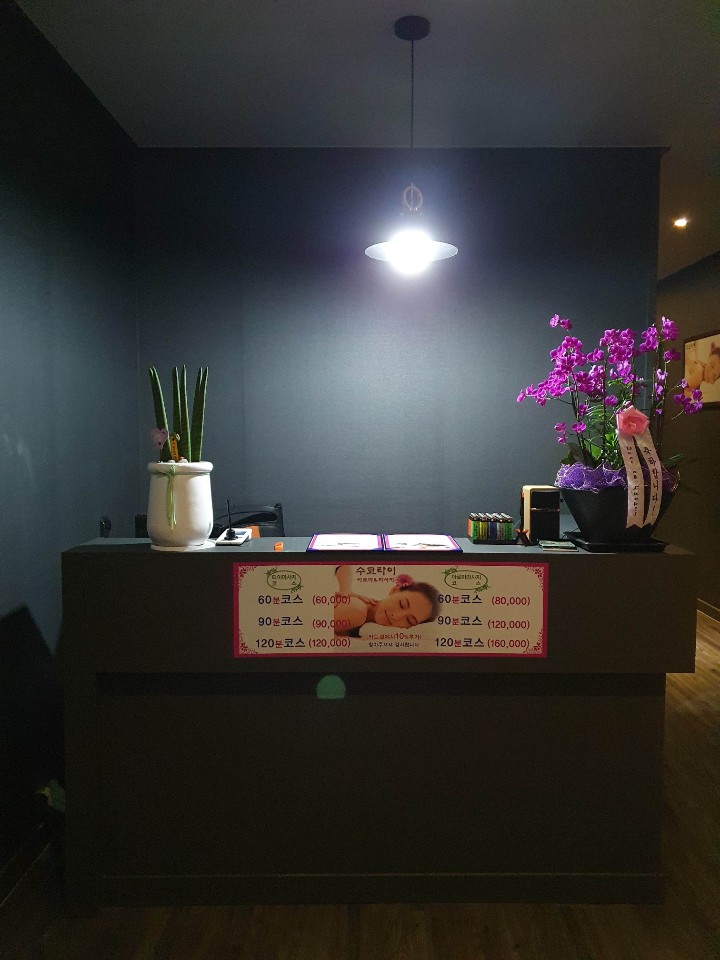 수코타이 photo 7