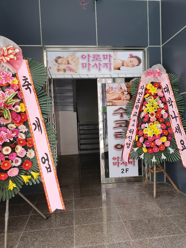 수코타이 photo 9