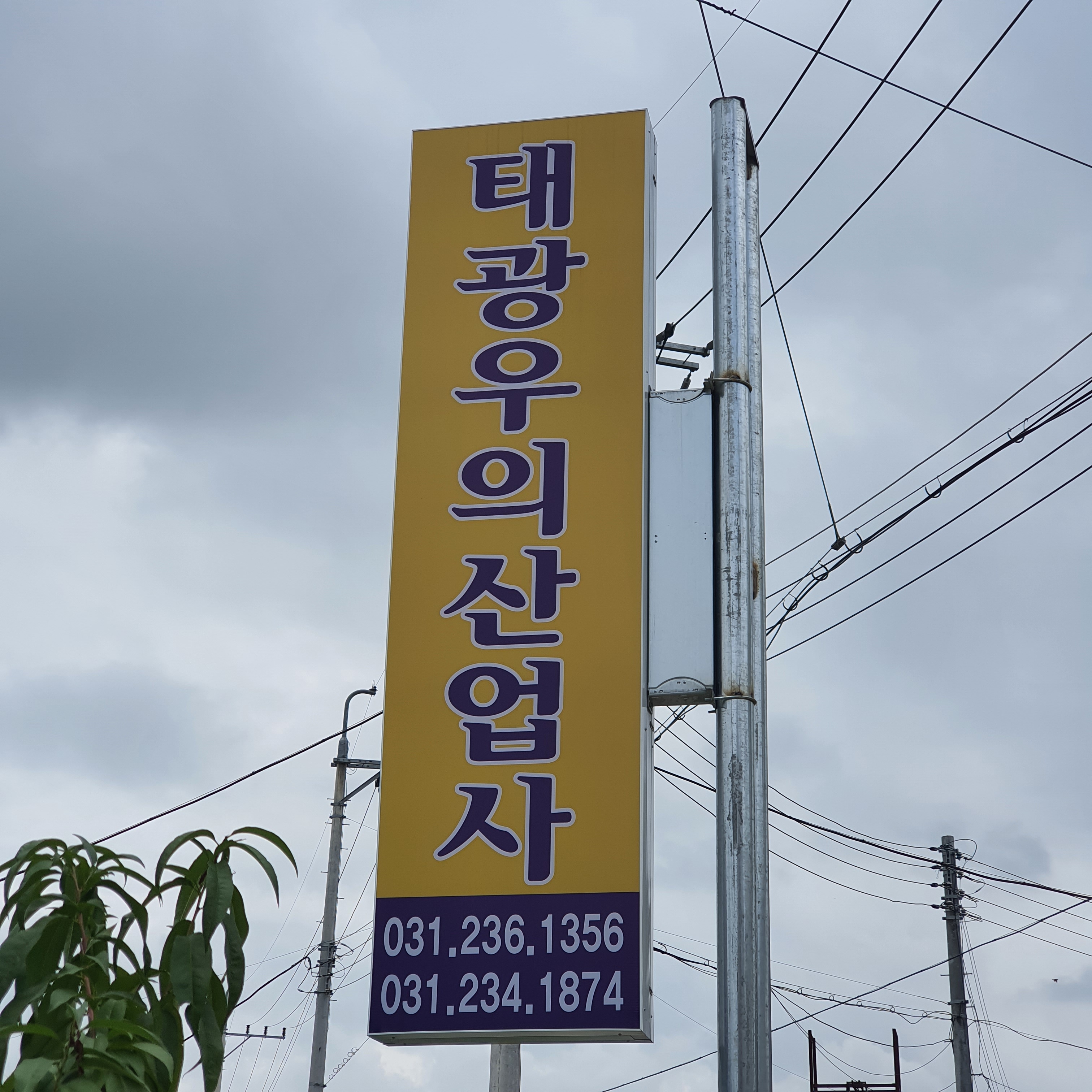 태광우의