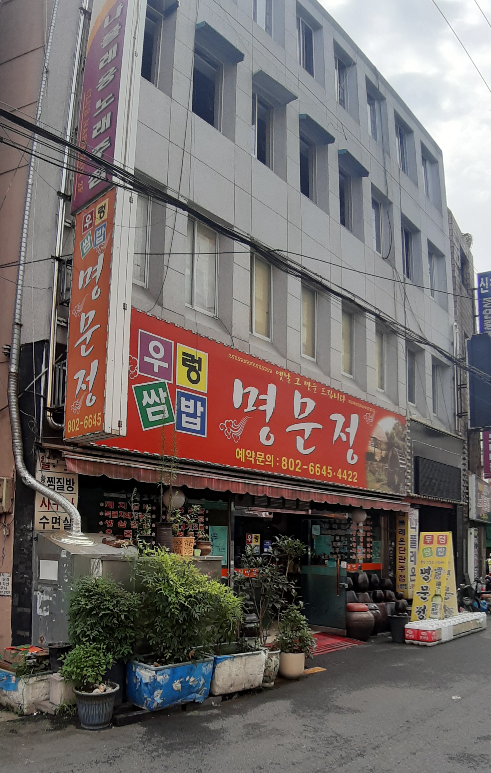 명문정