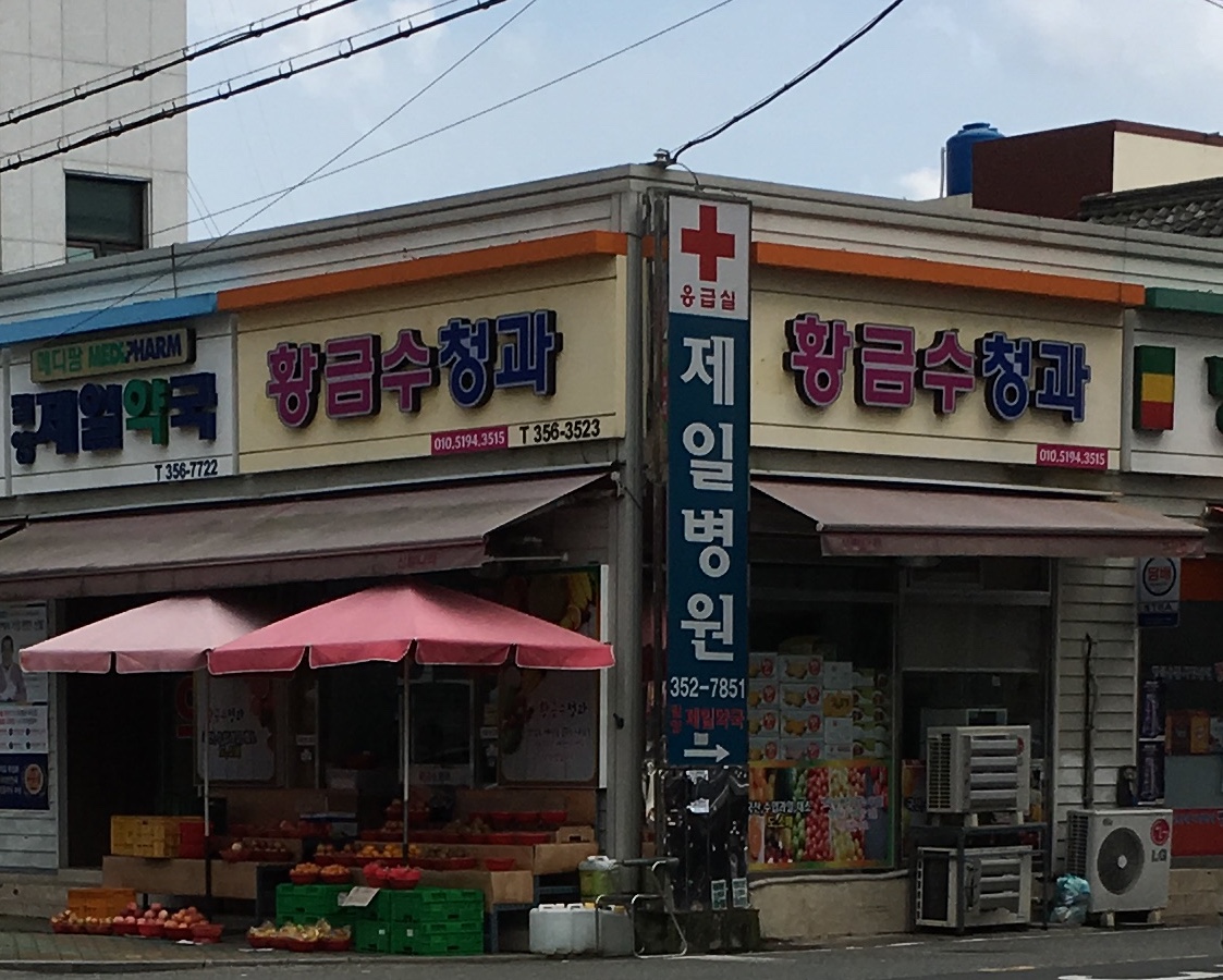 황금수청과