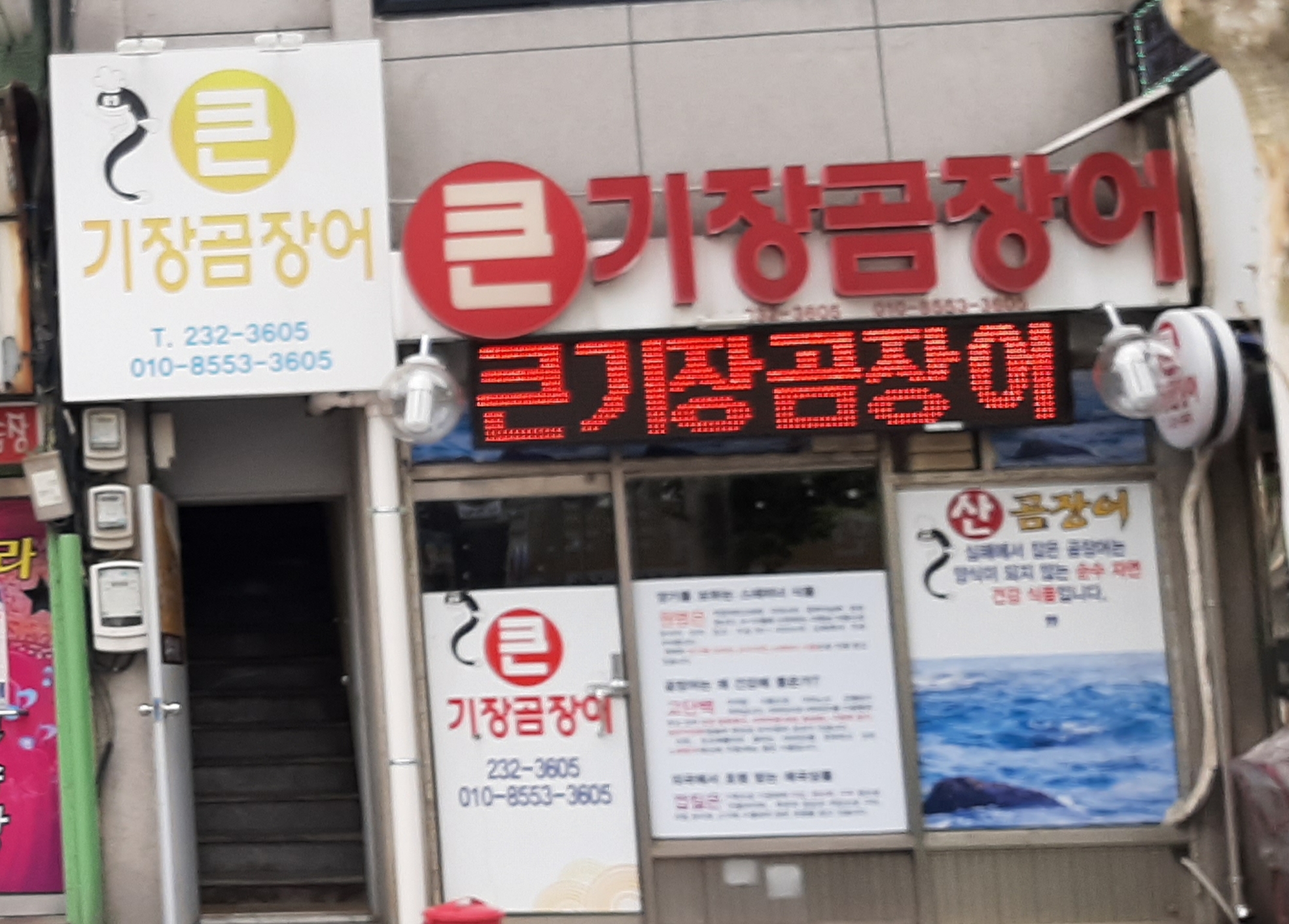큰기장곰장어