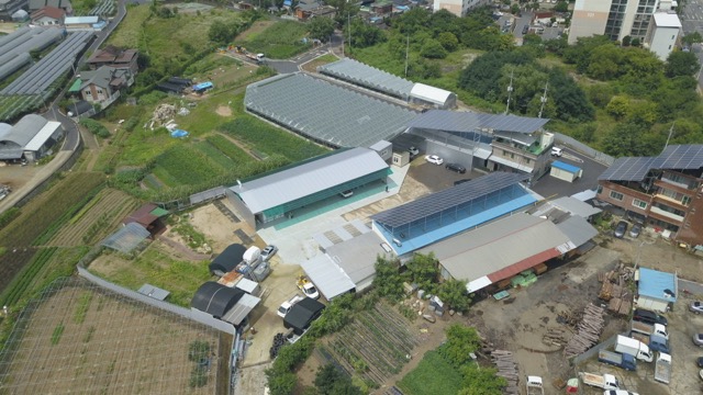 삼성1급자동차정비