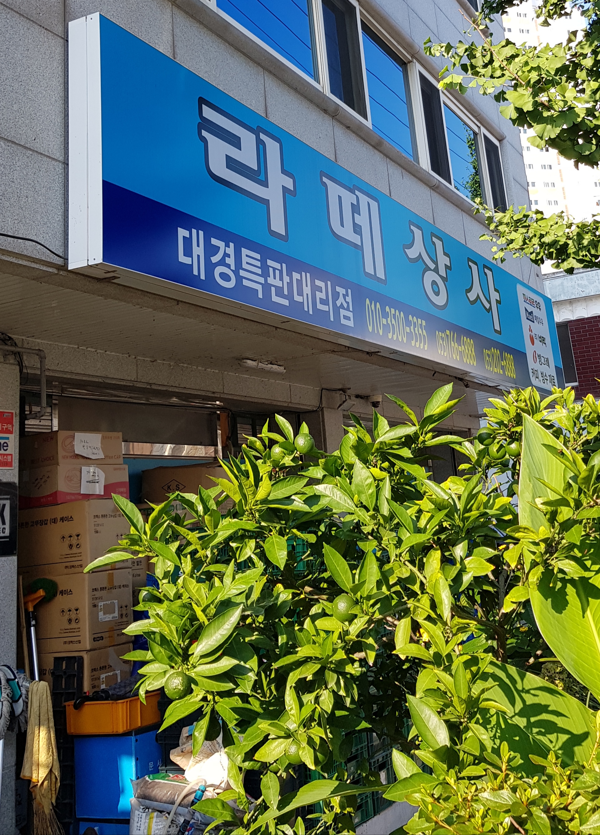 라떼상사대경특판대리점