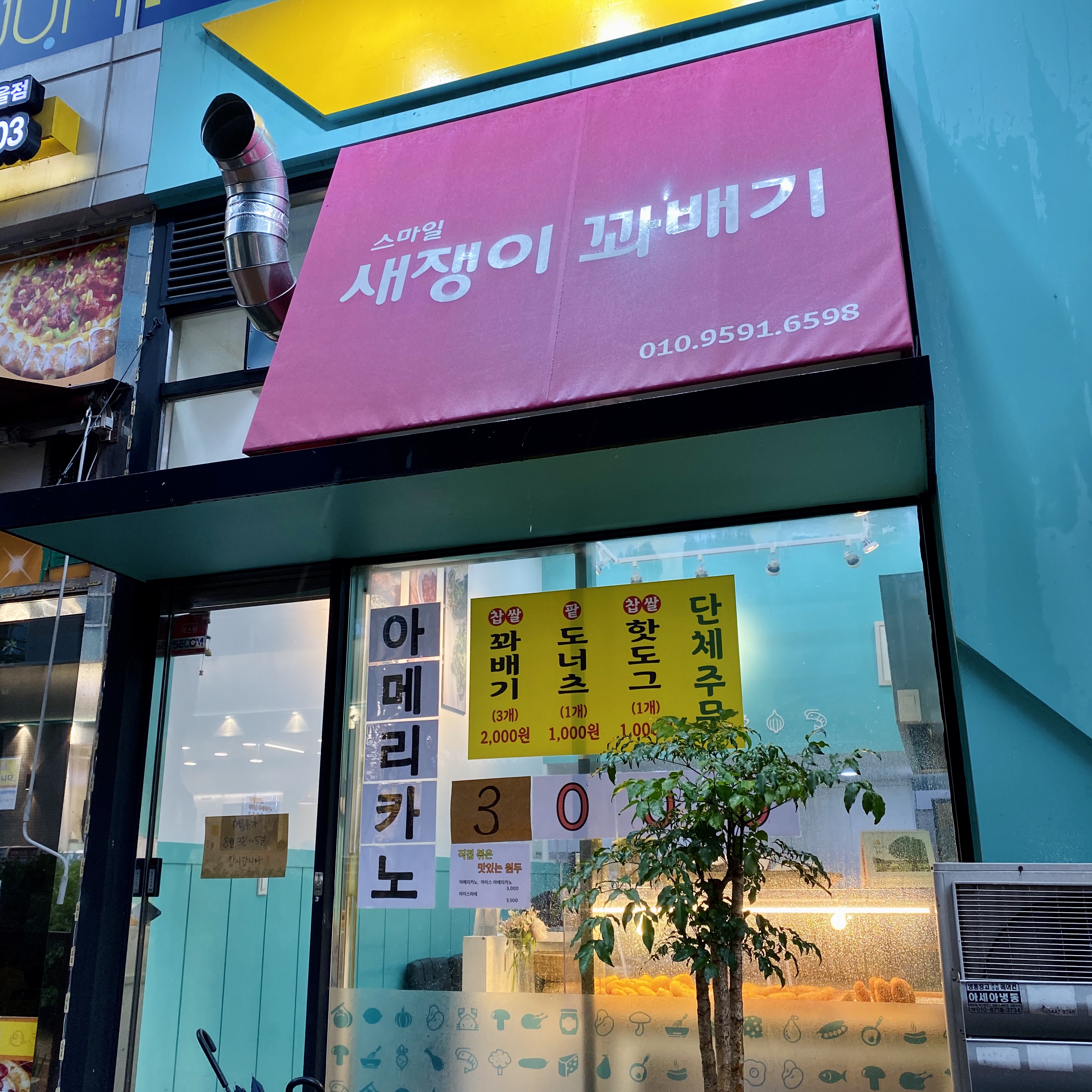 새쟁이꽈배기 이미지