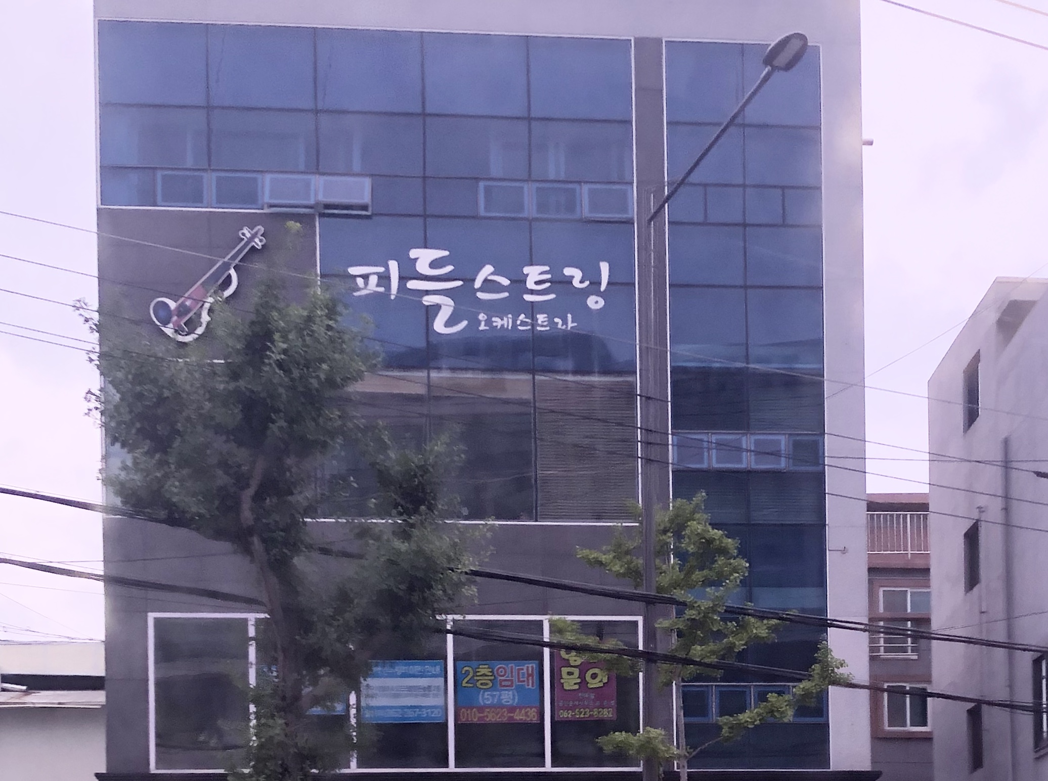 피들스트링 오케스트라