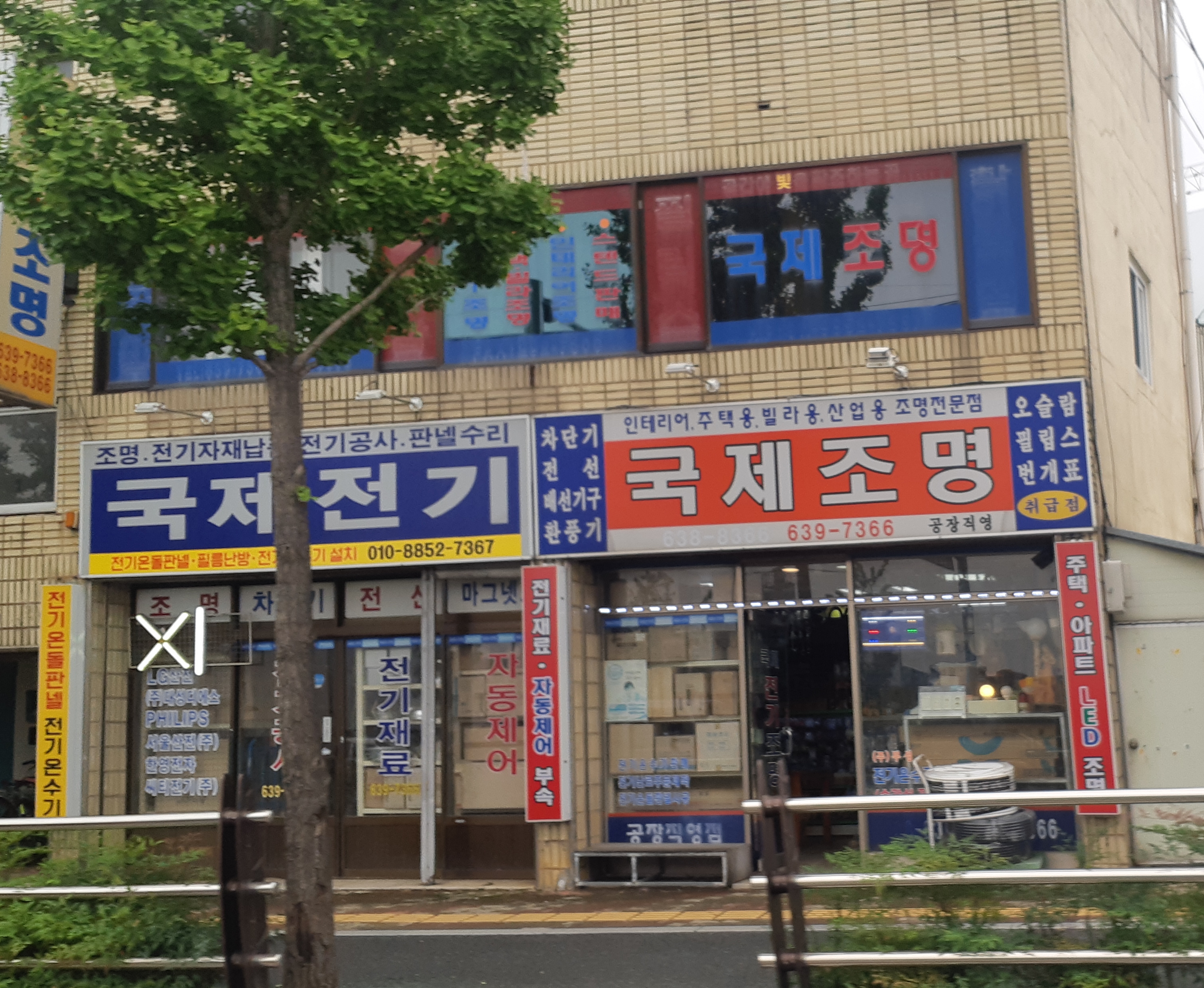 국제조명