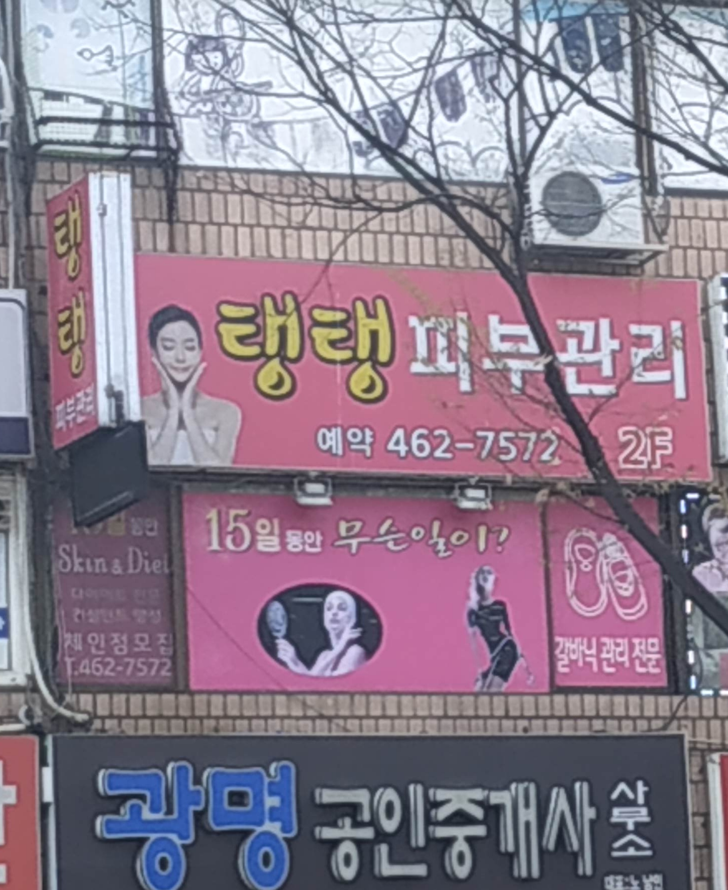 탱탱피부관리