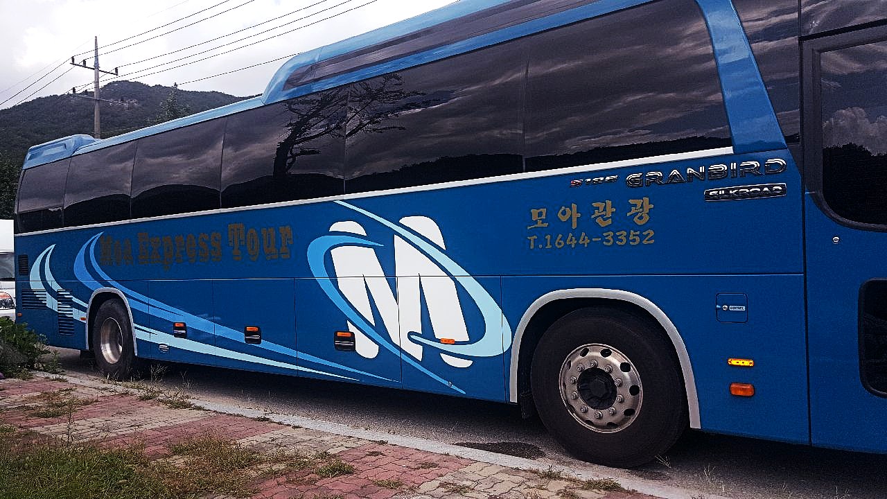 모아관광모아여행사