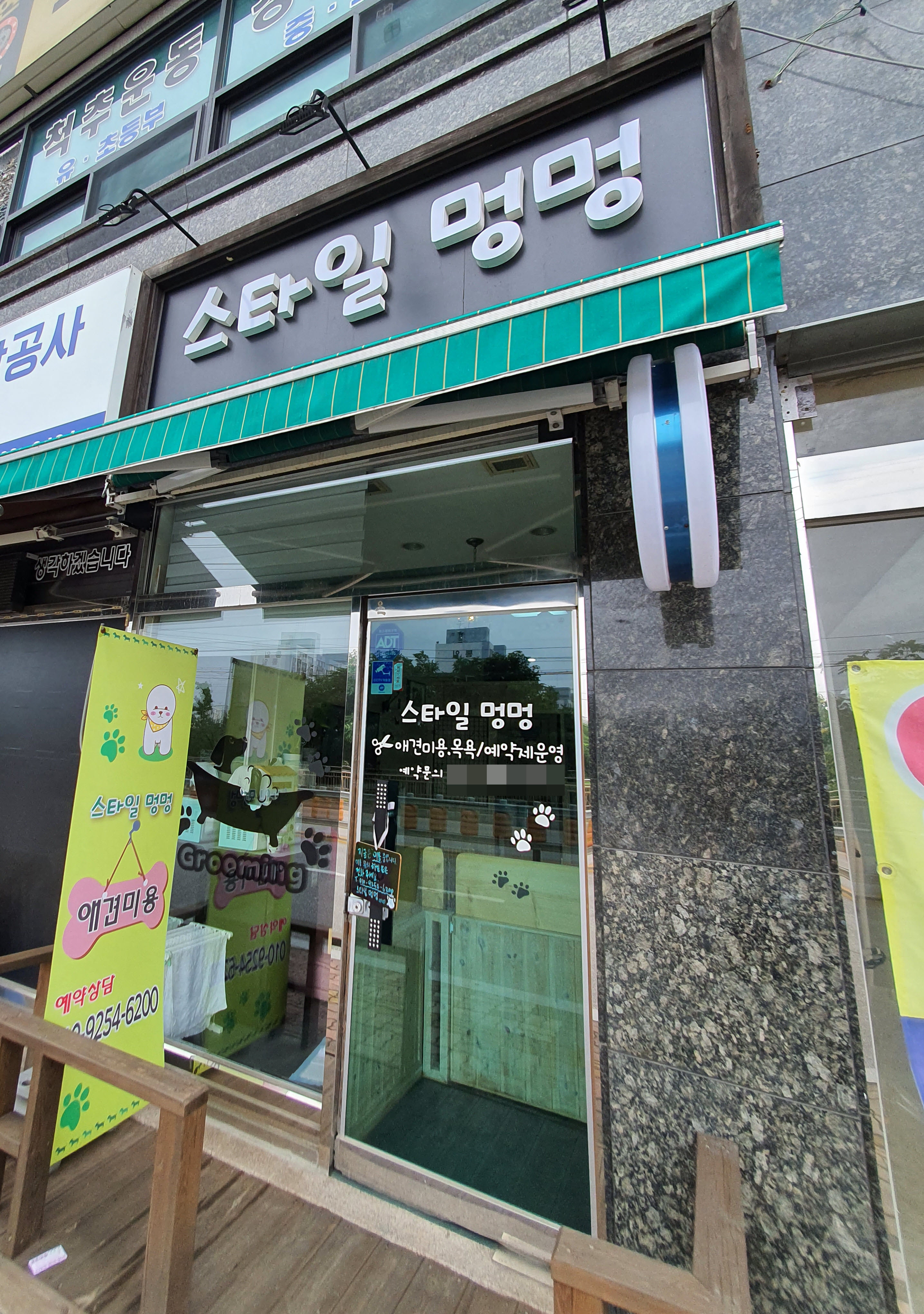 스타일멍멍 대표 이미지