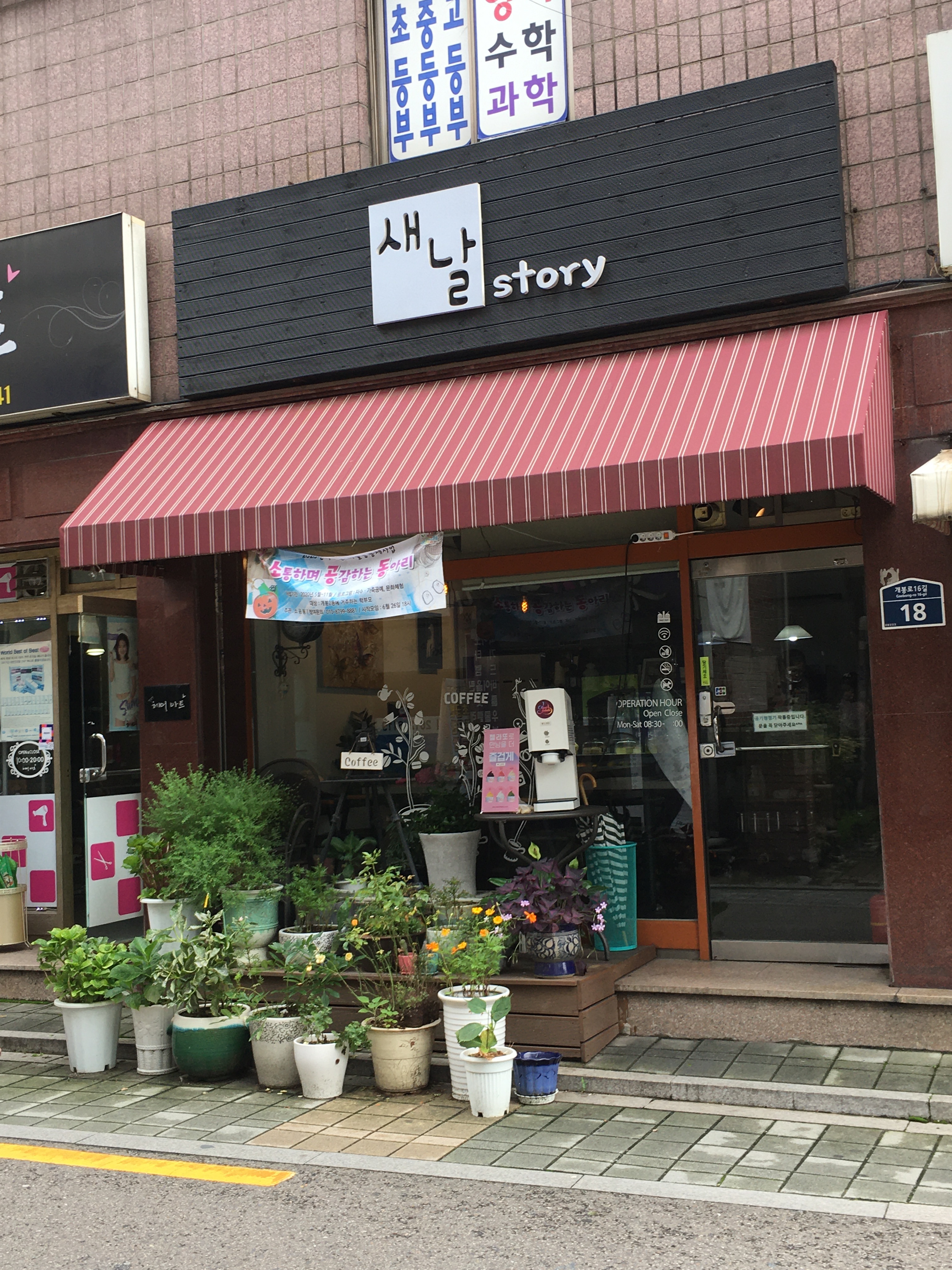 새날스토리