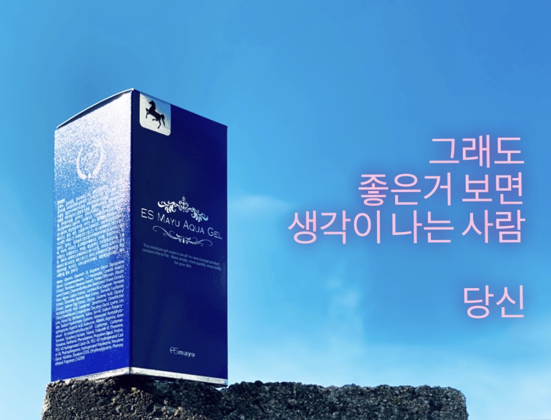 이에스에프디