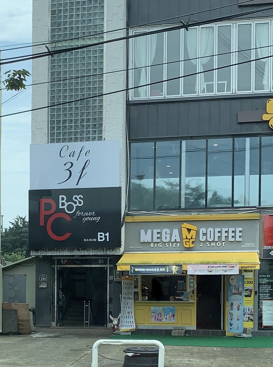 메가MGC커피 대구대학점 반려동물 동반 애견카페