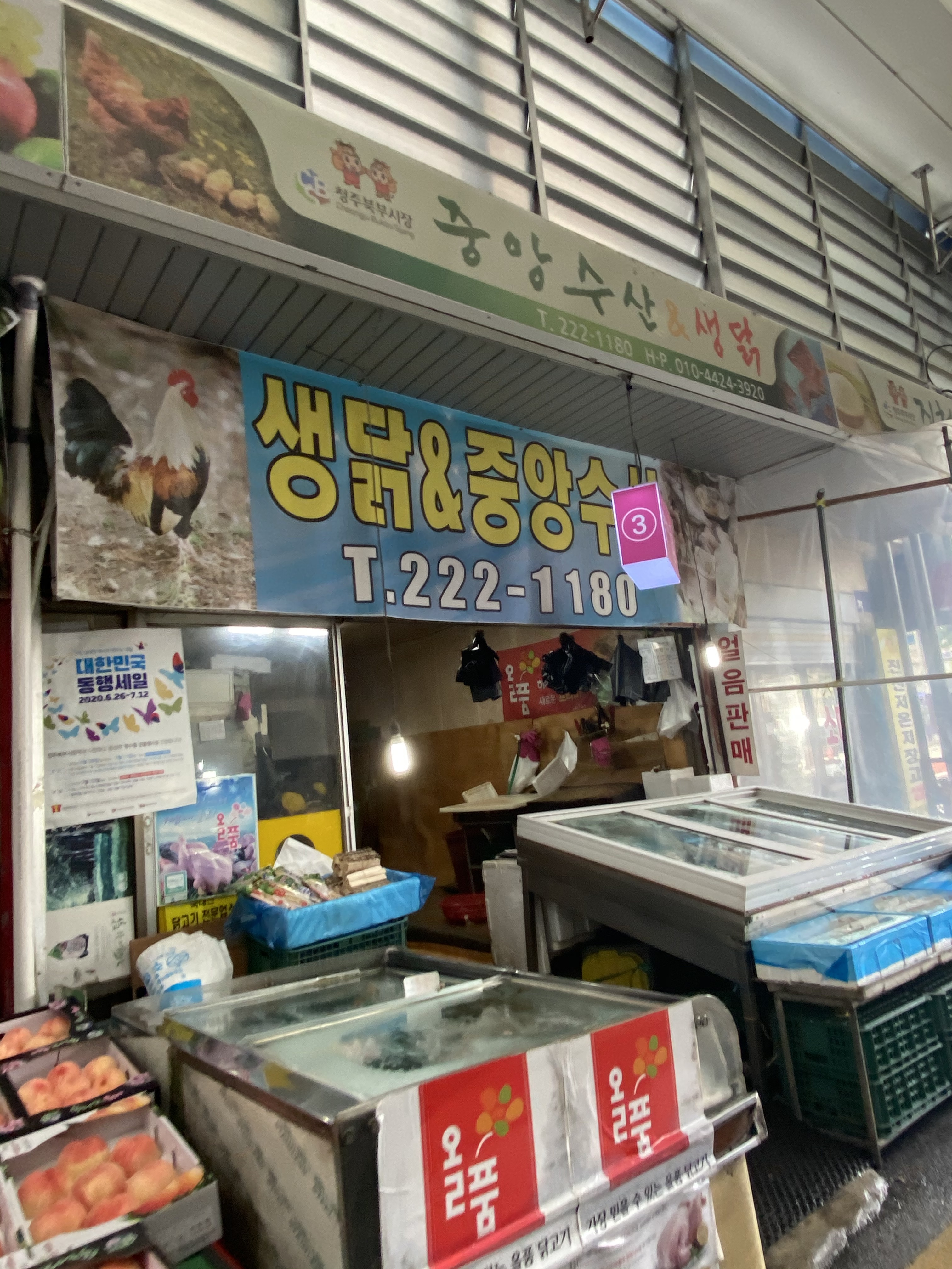 중앙생닭