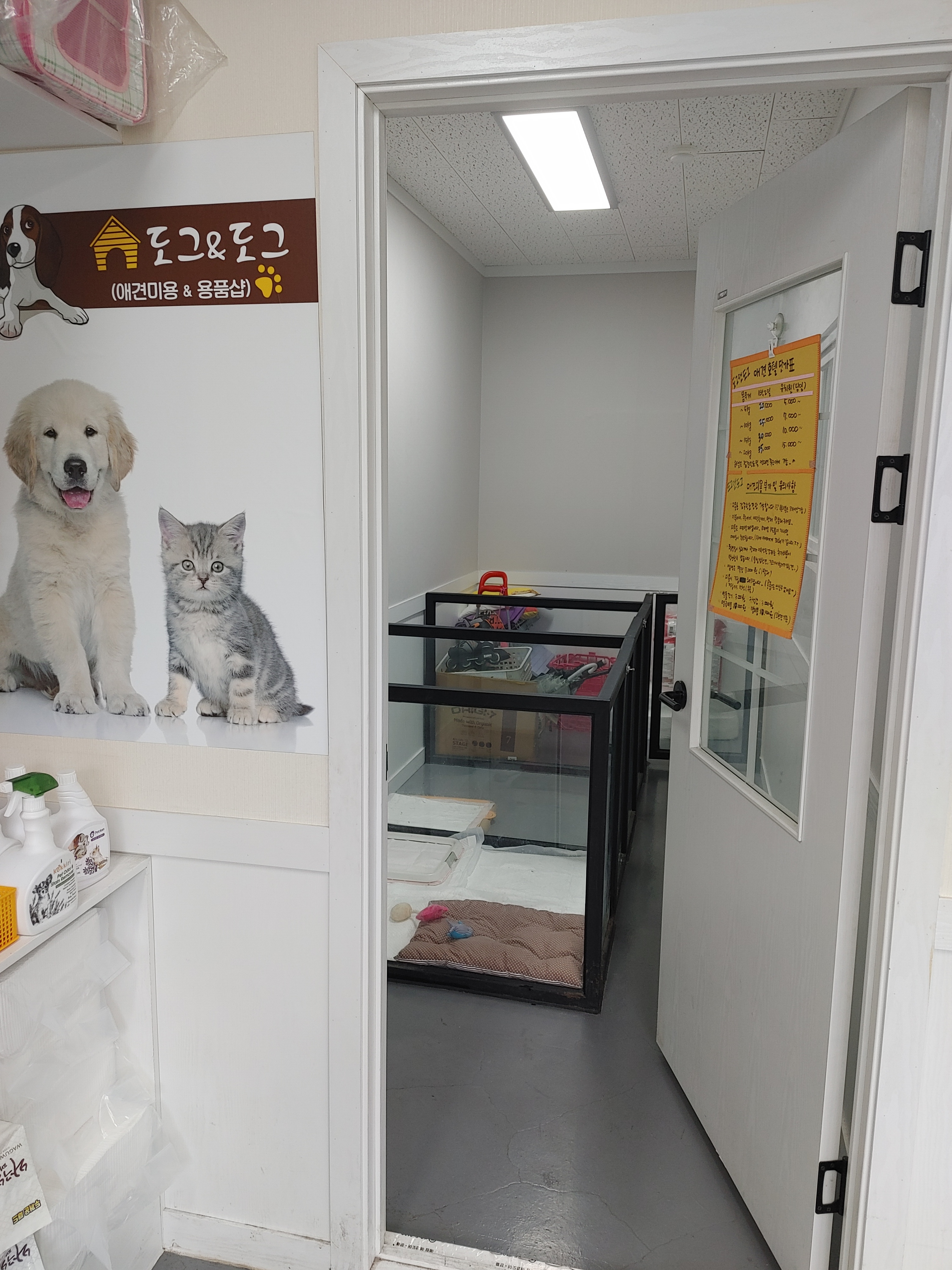 도그앤도그 대표 이미지