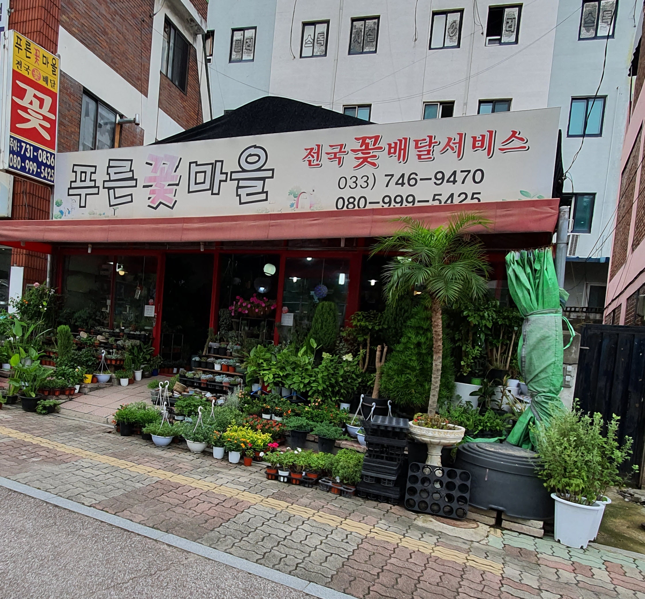 푸른꽃마을