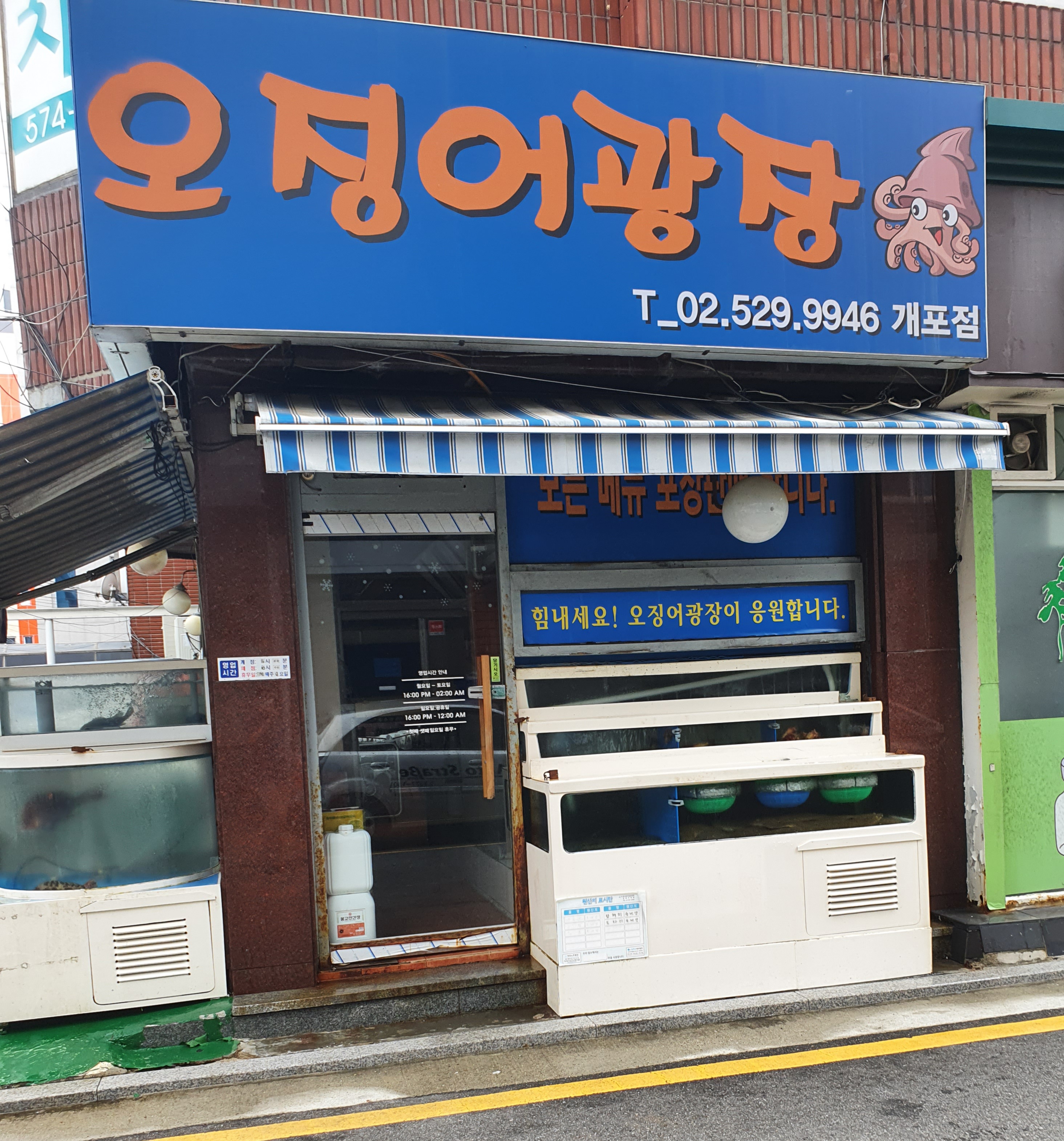 오징어광장 개포점