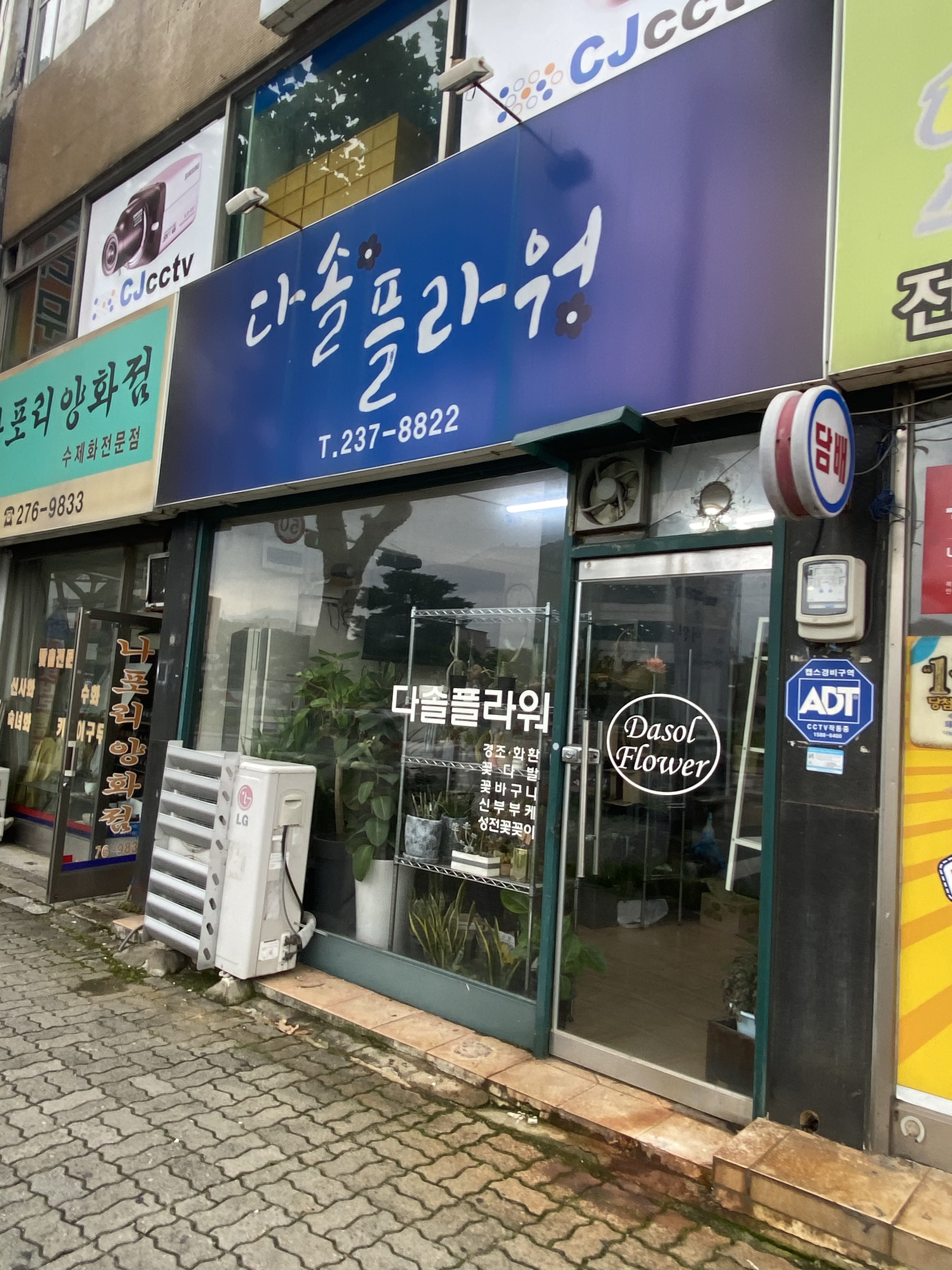 다솔플라워