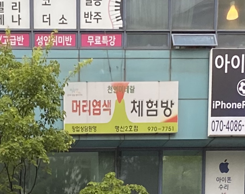 천연머리염색