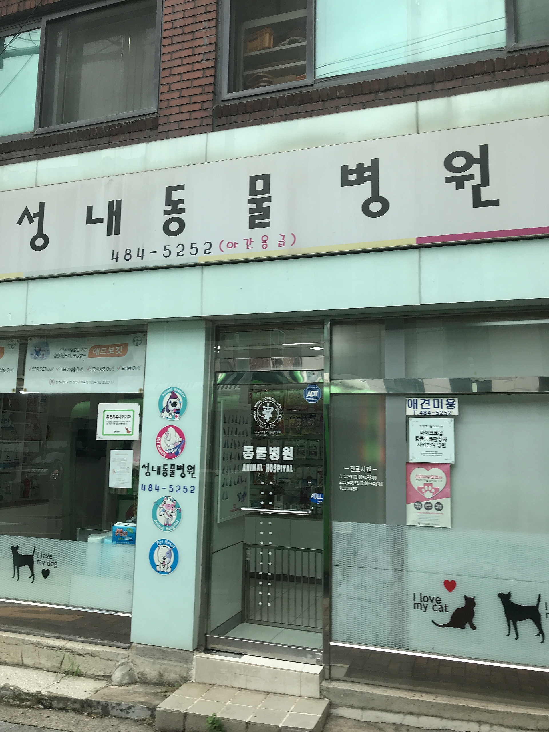 성내동물병원 대표 이미지