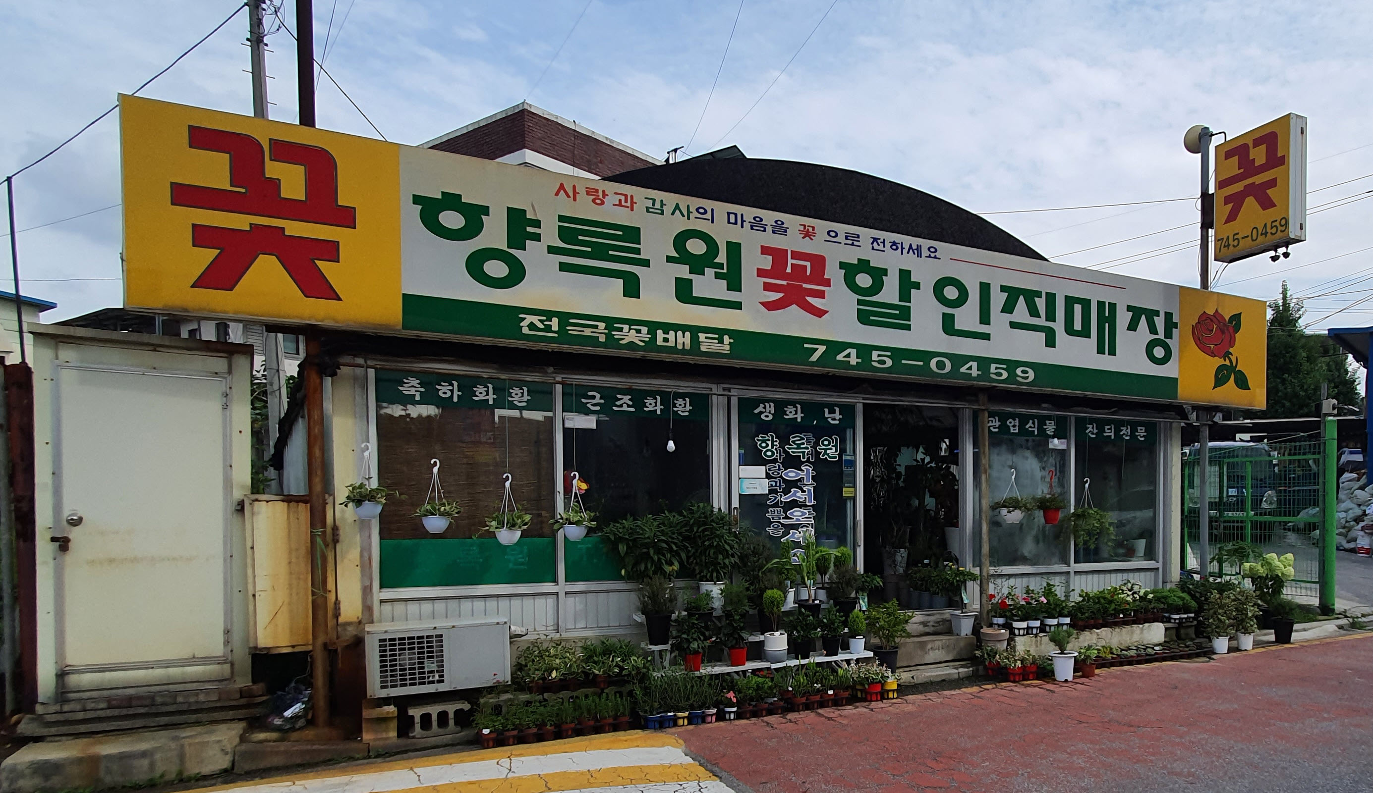 향록원꽃할인직매장