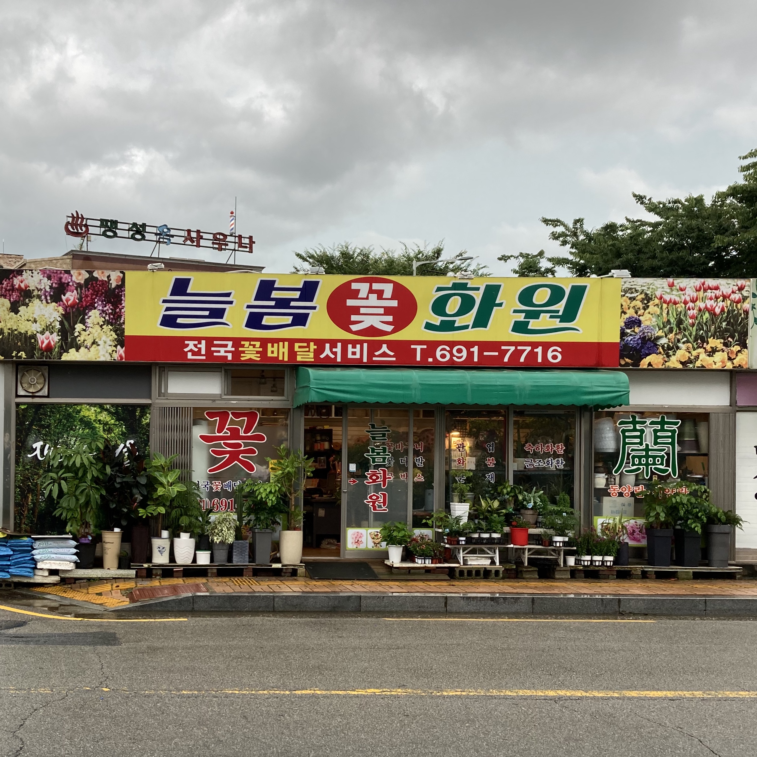 늘봄꽃화원