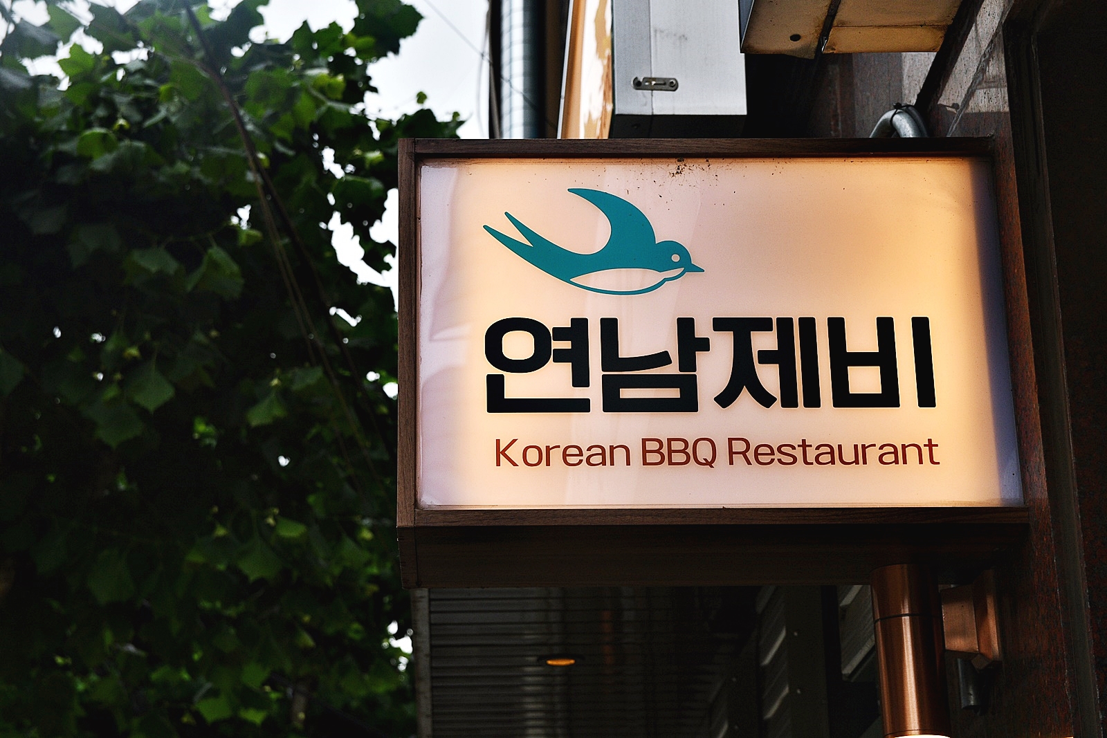 연남제비 대표 이미지