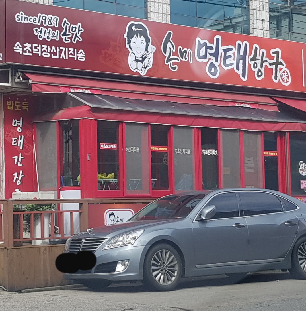 손미 명태항구