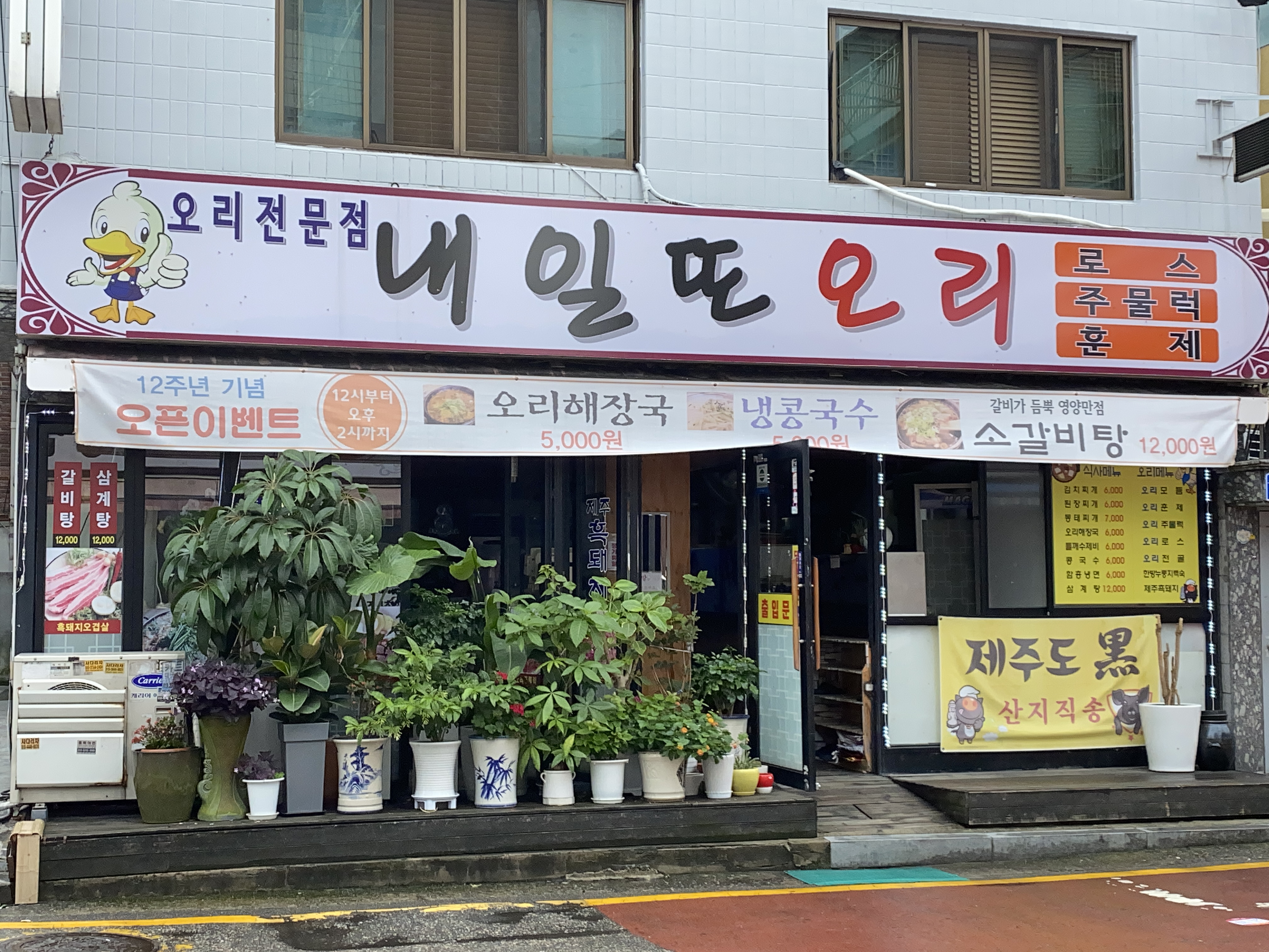 내일또오리