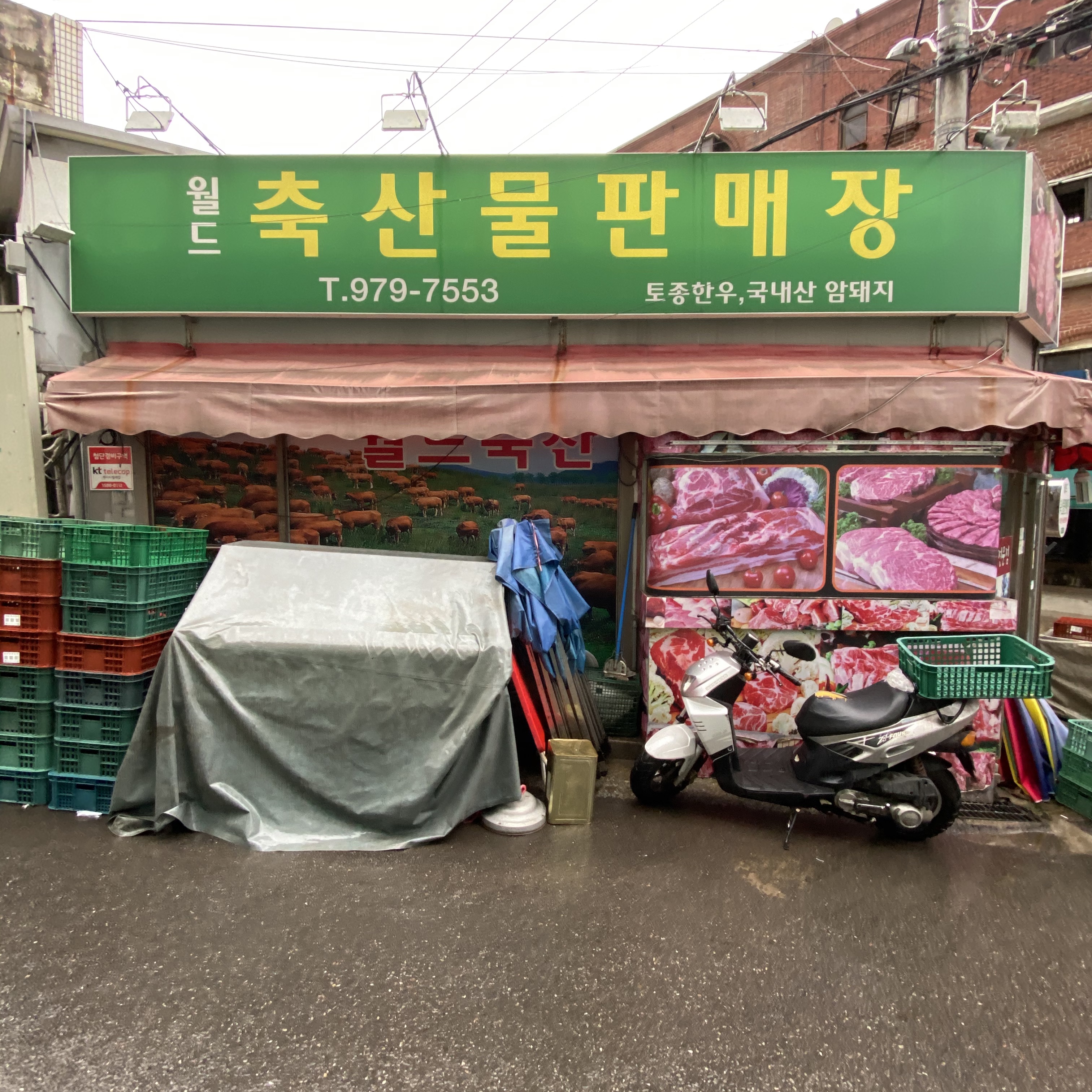 월드축산물판매장