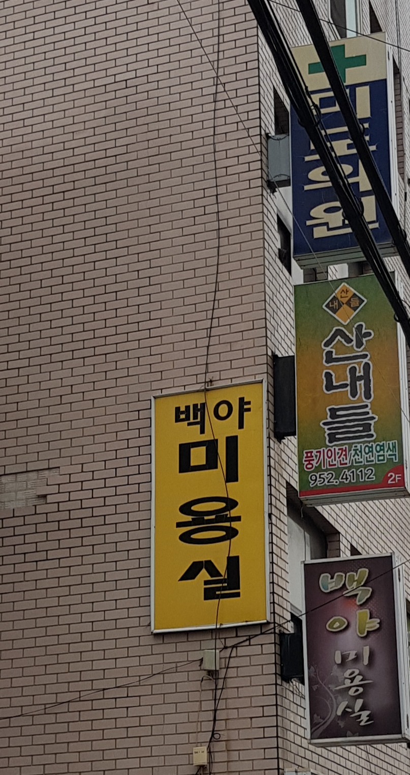 백야미용실