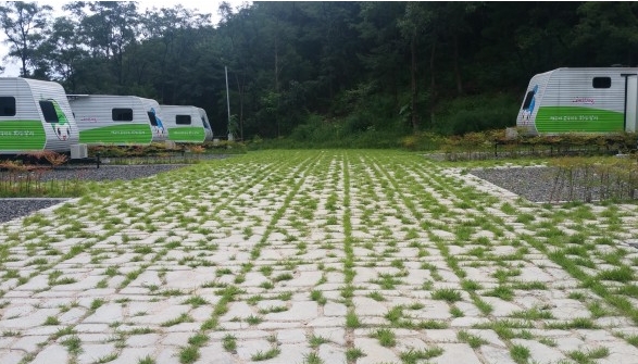 와이디티
