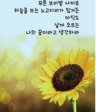 공은정국어논술학원