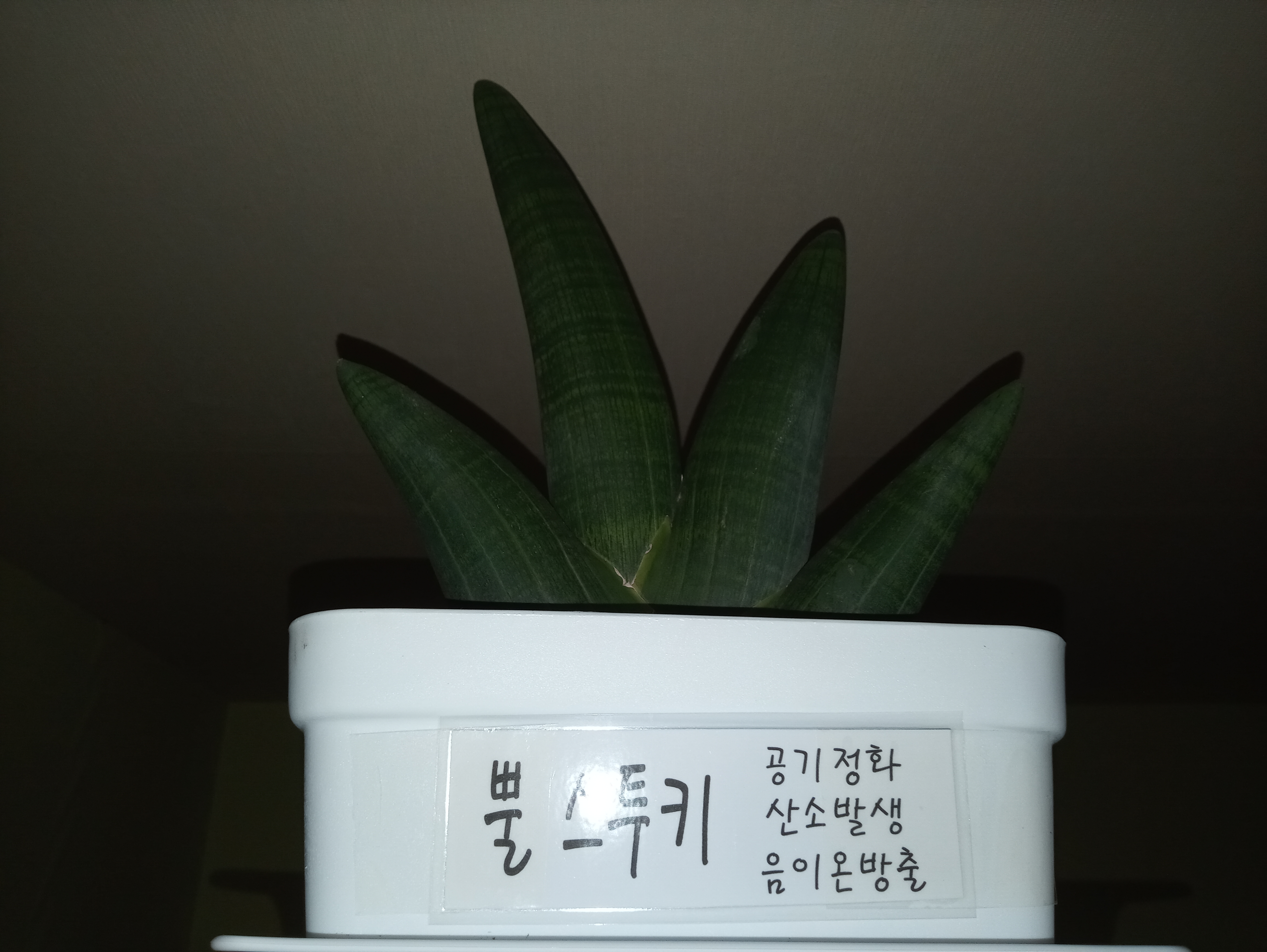 업체사진