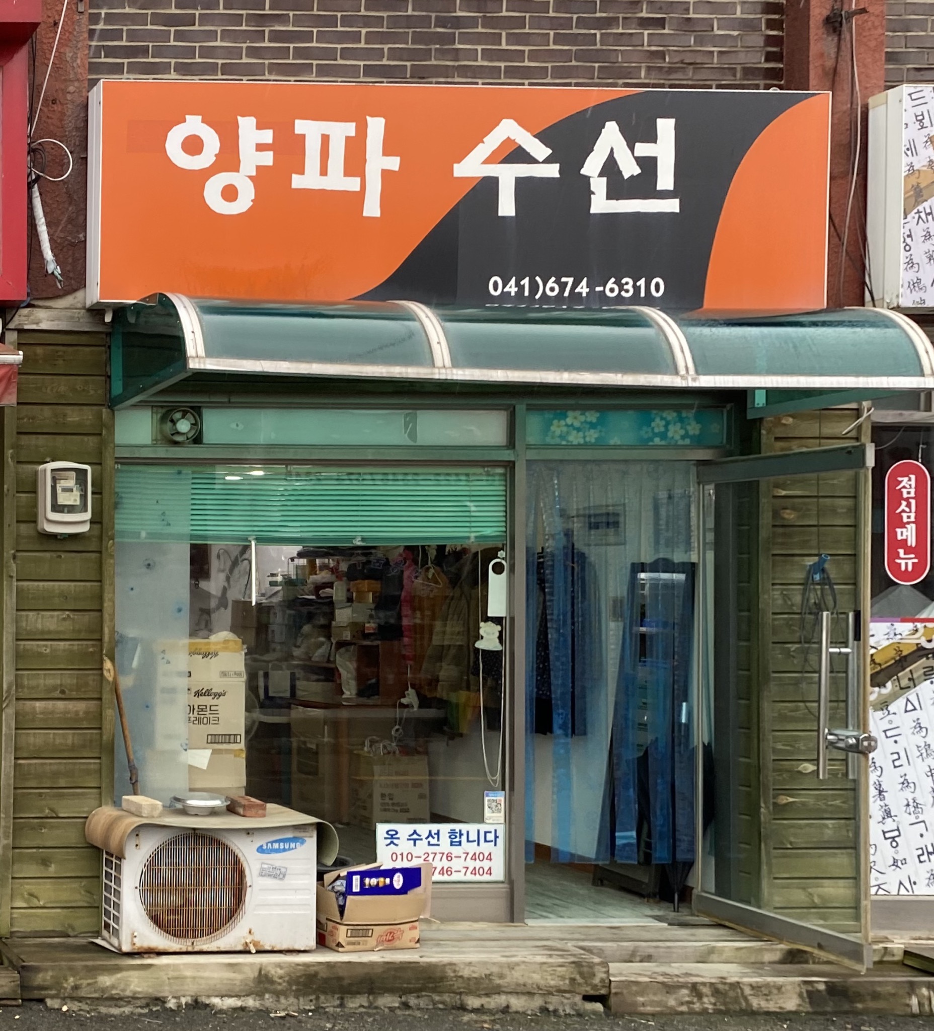 양파수선