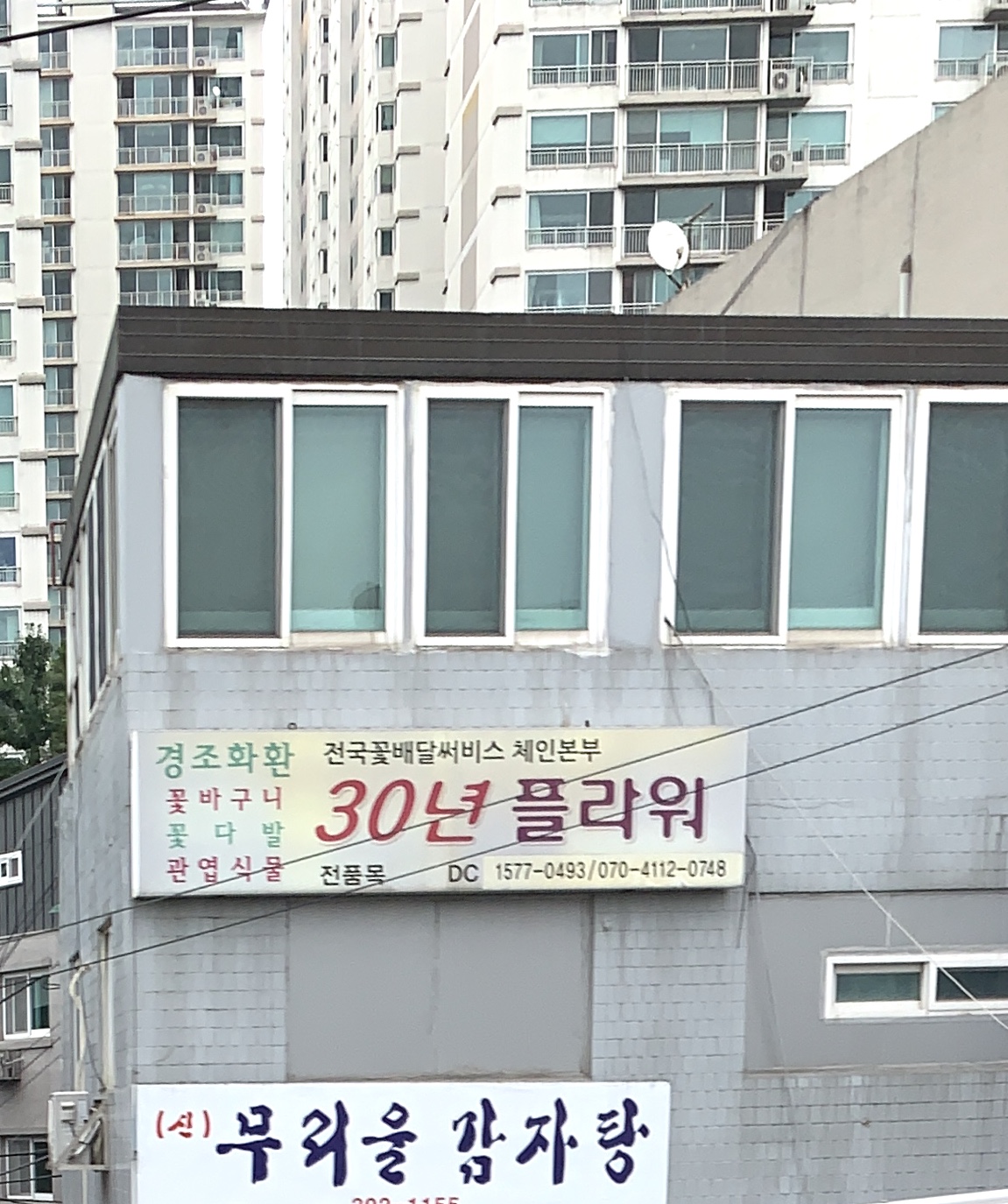 30년플라워