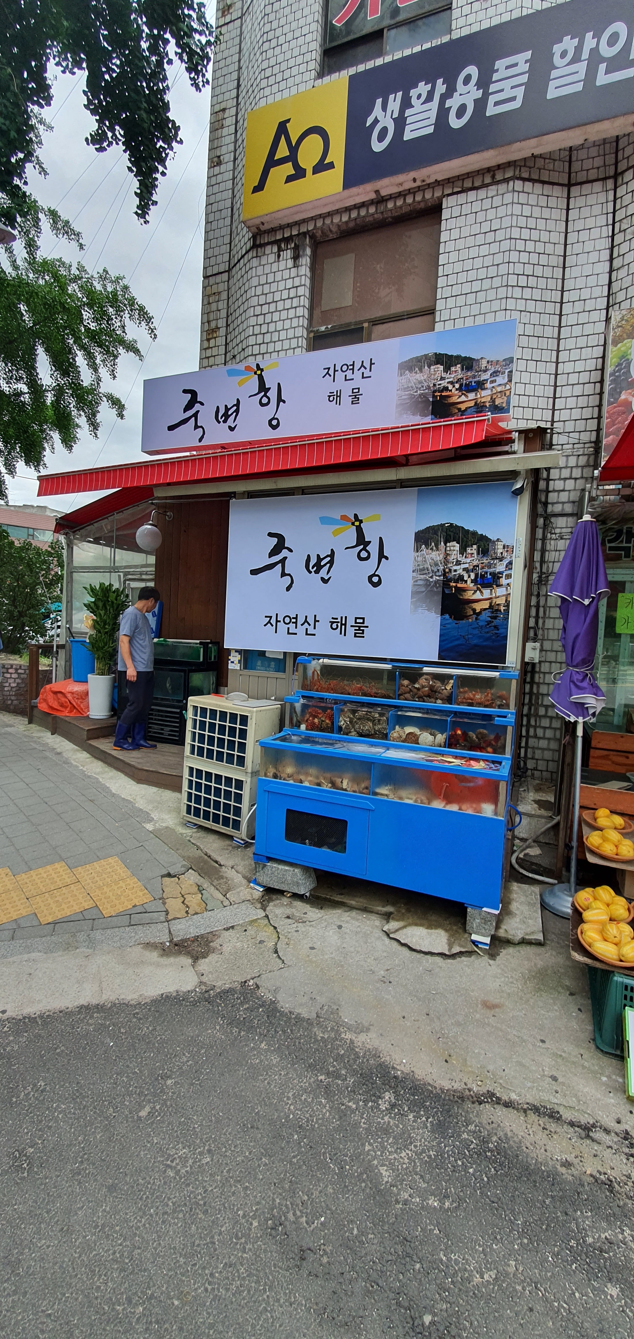 죽변항